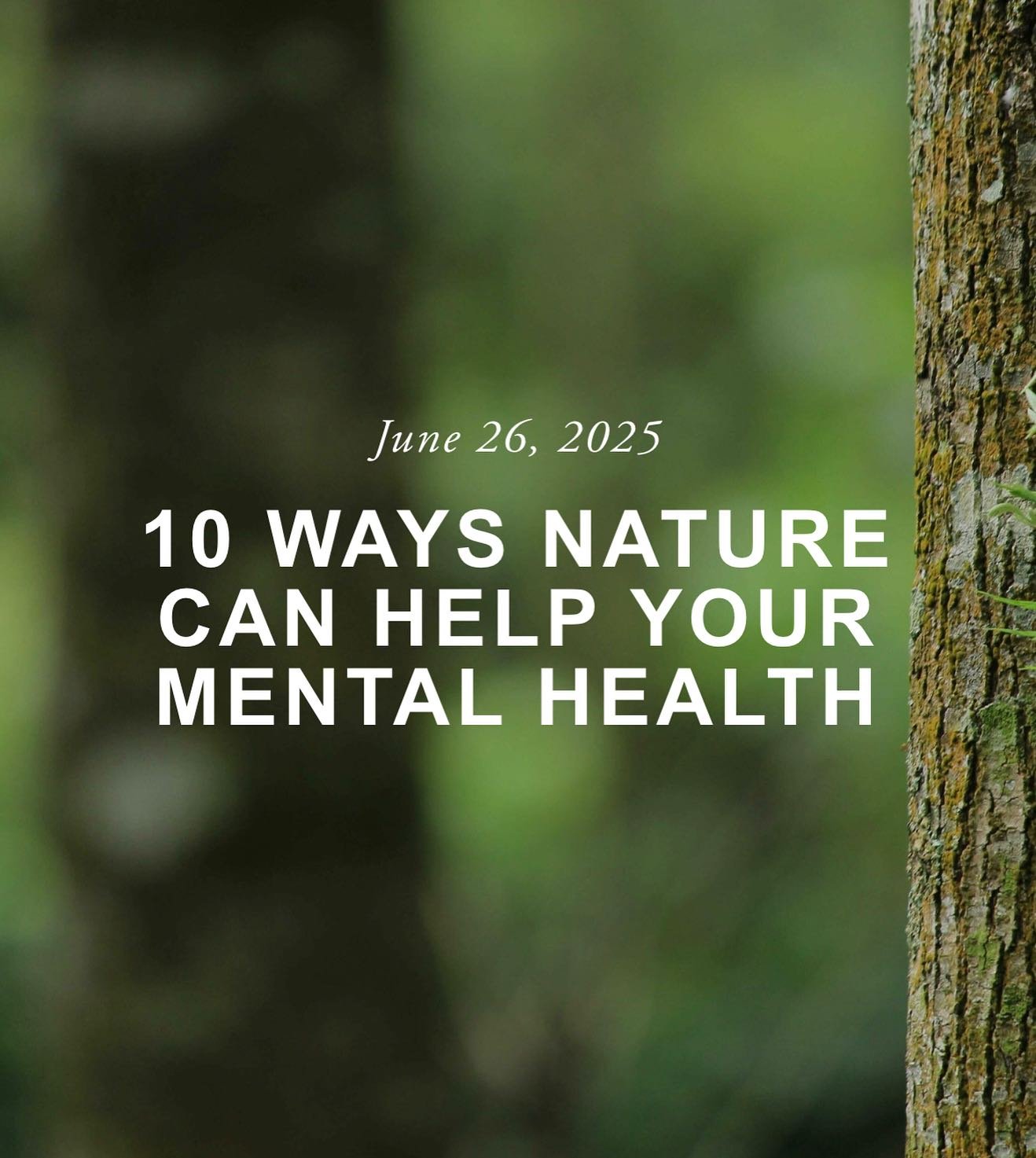 Ever wondered how nature can help your mental health? If so, keep reading!

&ldquo;In our fast-paced, digitally-driven world, it is easy to forget the profound impact nature can have on our well-being. Yet for centuries, people have turned to forests