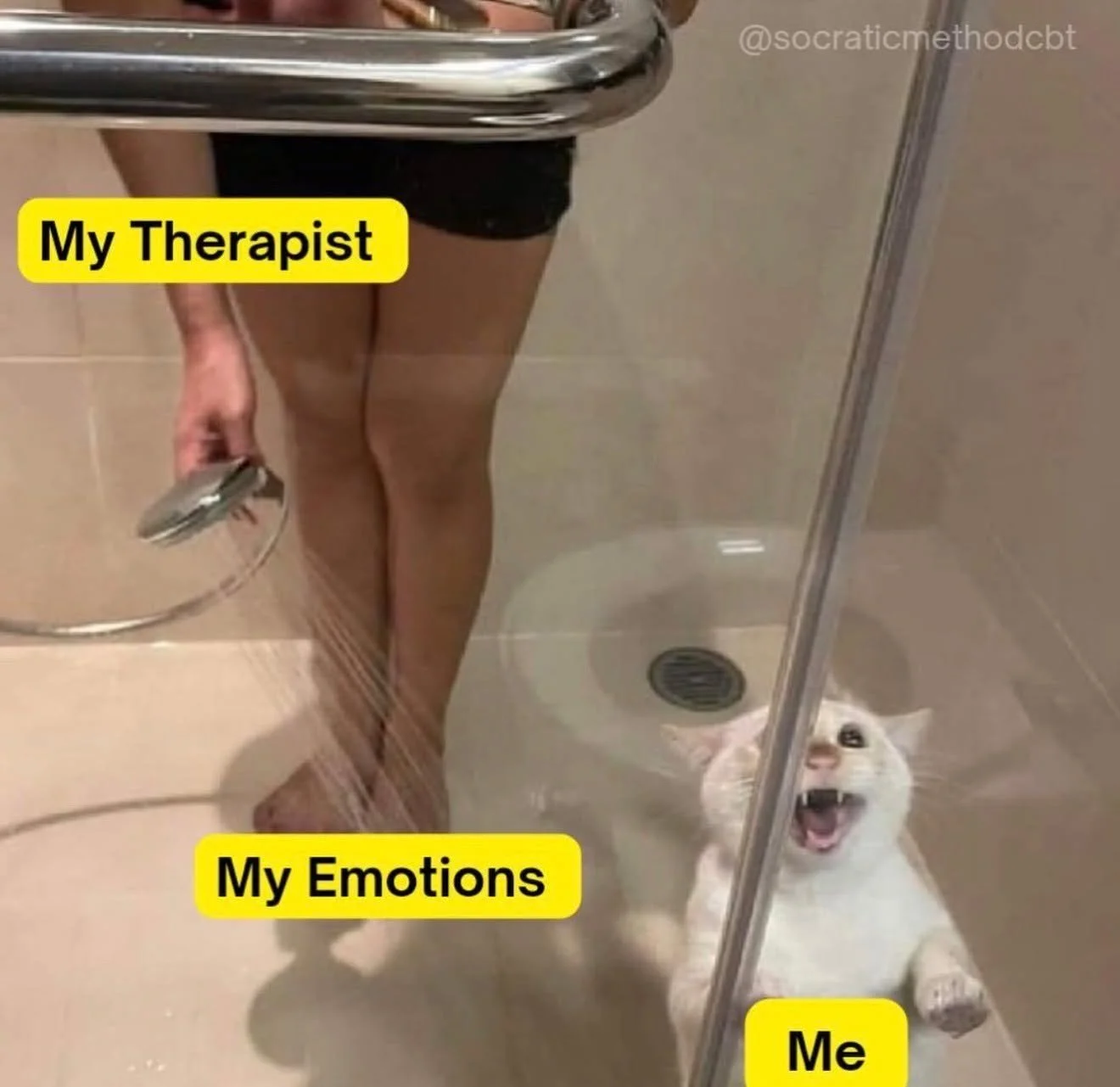 Therapy be like: here are all your emotions, all at once, no warning, cold water included.

Growth is not always a gentle process.
.
.
.
#TherapyMemes #MentalHealthHumor #RelatableTherapy #TherapyTok #HobokenTherapy