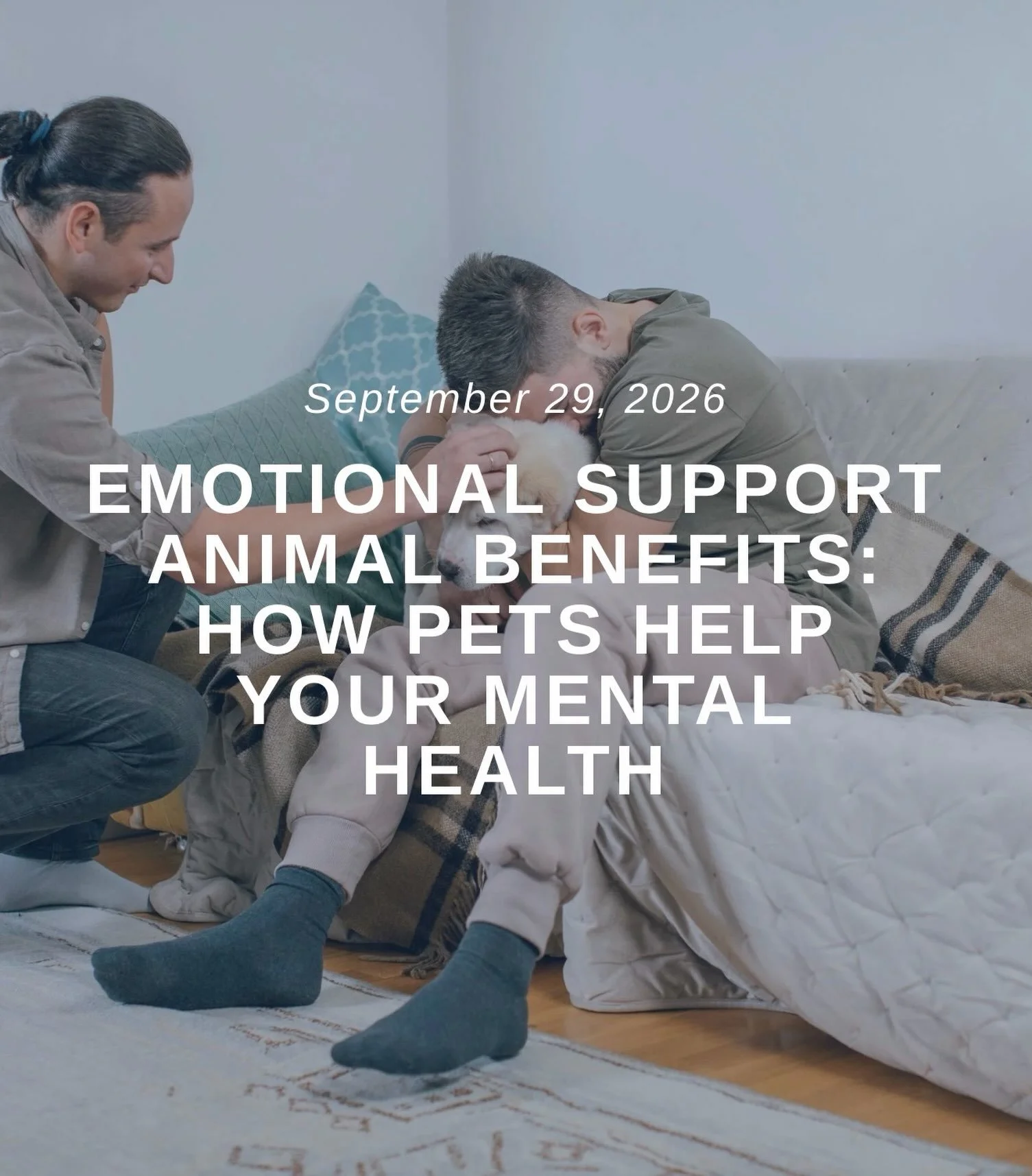 If you ever wondered what the mental health benefits are for having a furry companion, this blog is for you!

&ldquo;If your dog hears your keys in the door and is already waiting by the time you walk in, or your cat curls into your lap on the exact 