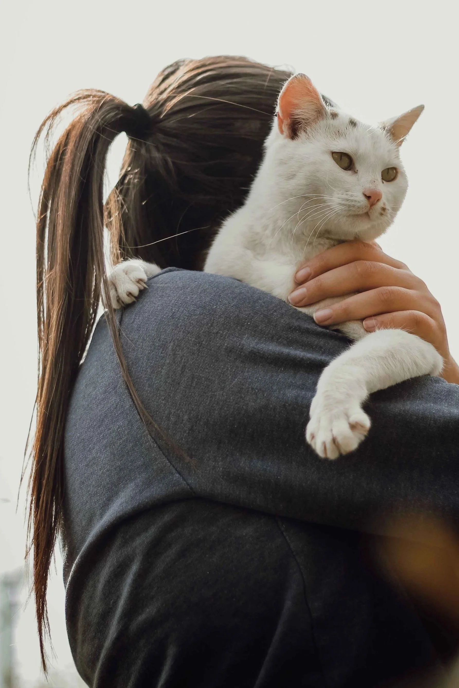 Woman with a ponytail holding a white cat against her shoulder outdoors, pets and mental health Hoboken NJ counselor
