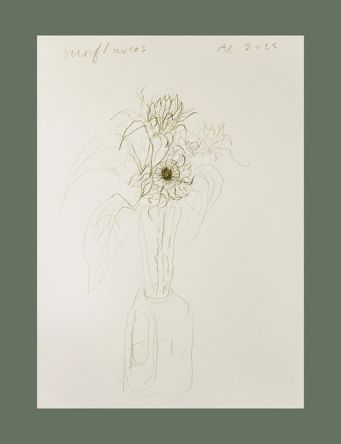 andy-lawson-drawings sunflowers in olive 02, 2025.jpg