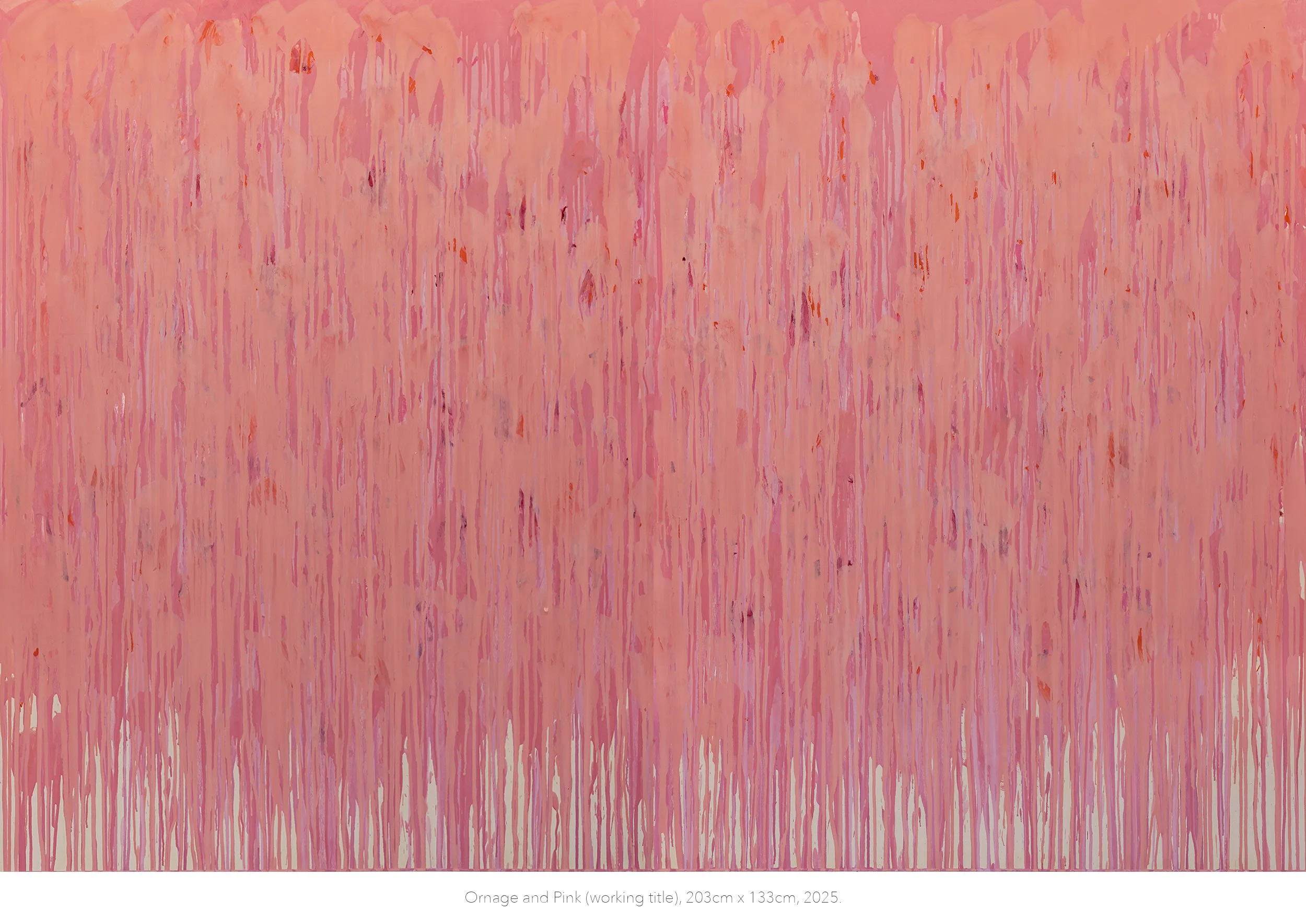 orange and pink (working title) 203cm x 133cm - Andy Lawson Painting 2025.jpg