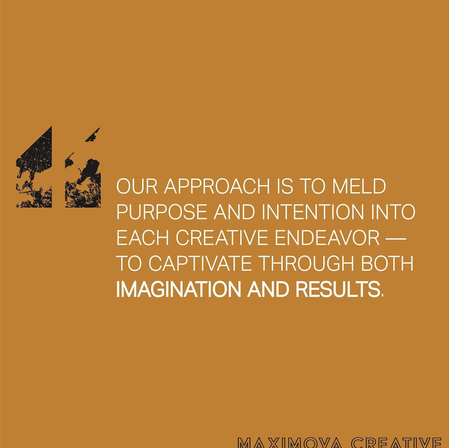 a bit of brand perspective 

#maximovacreative #purpose #imagination #results