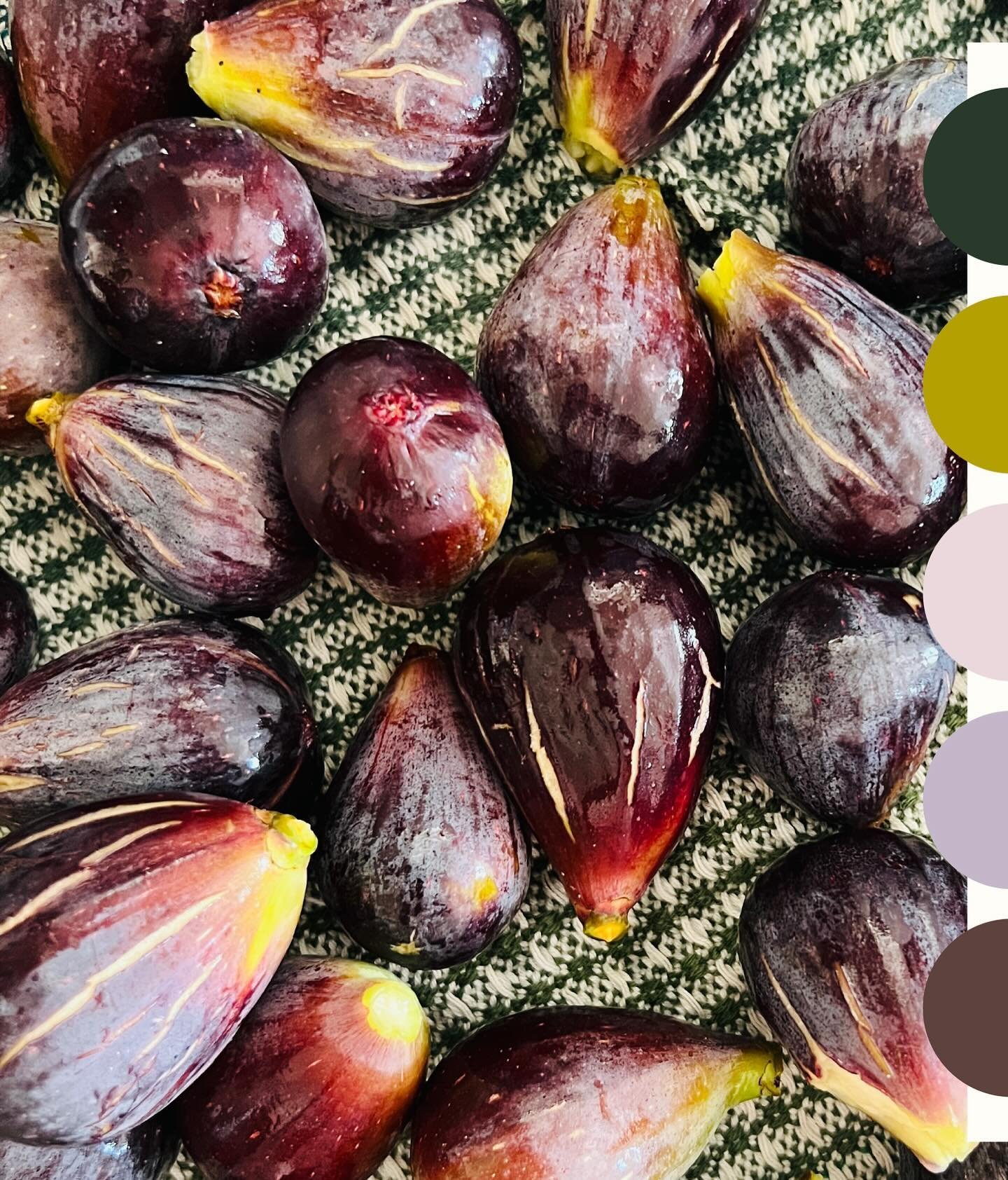 Figgie ✸
an exploration in color

How are you leveraging your color stories?

Your color stories don&rsquo;t have to be dramatic, they can be soft yet powerful. They can be a limited palette with depth as seen here with this family of greens and purp