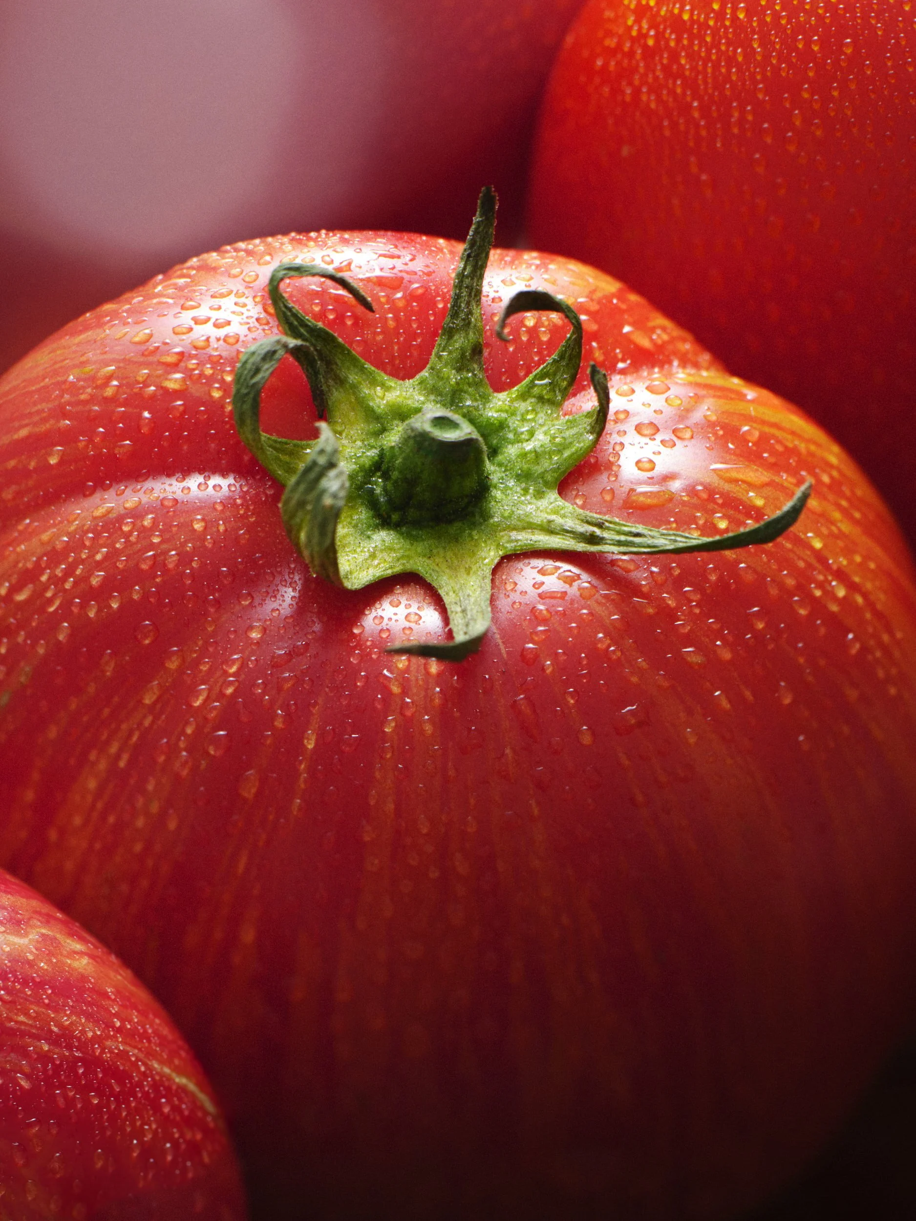 tomato_08.jpg