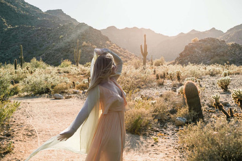 phoenix-1024x683.jpg