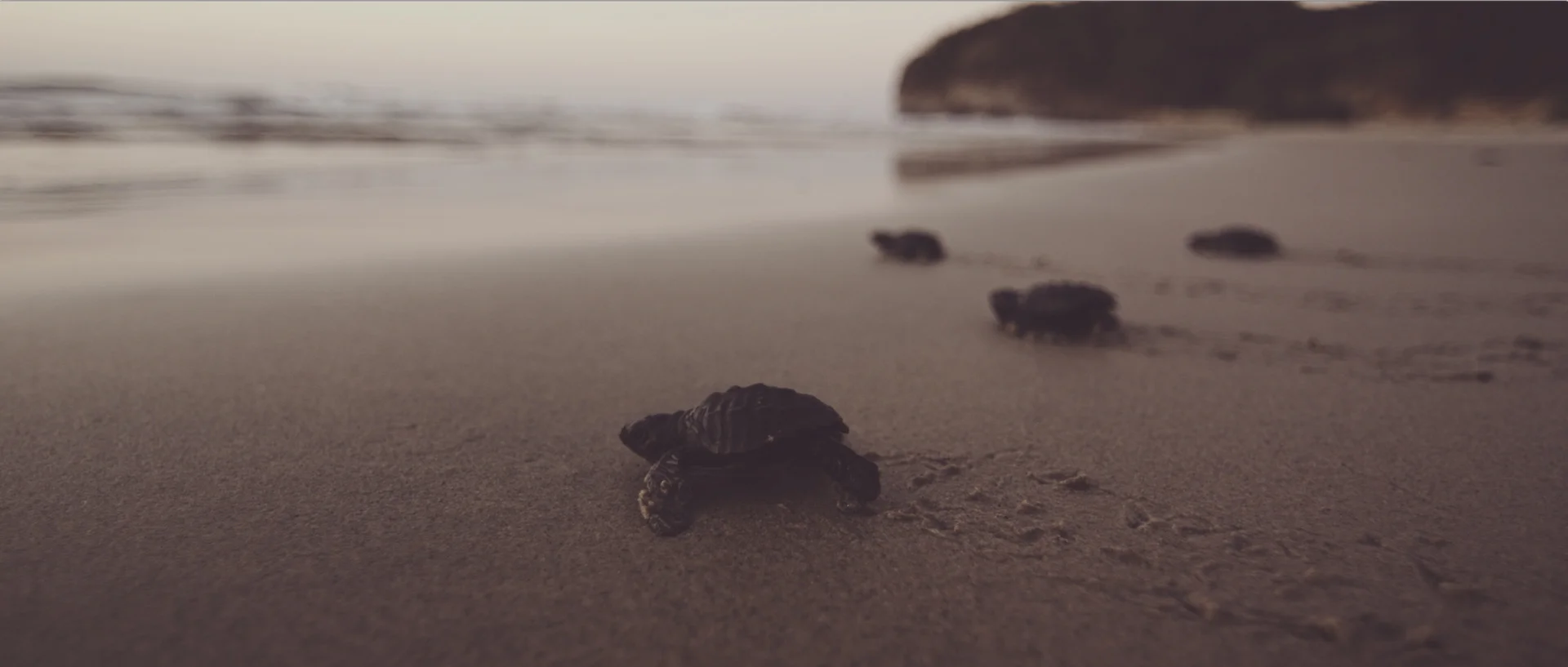 MEXICO-2013.jpg