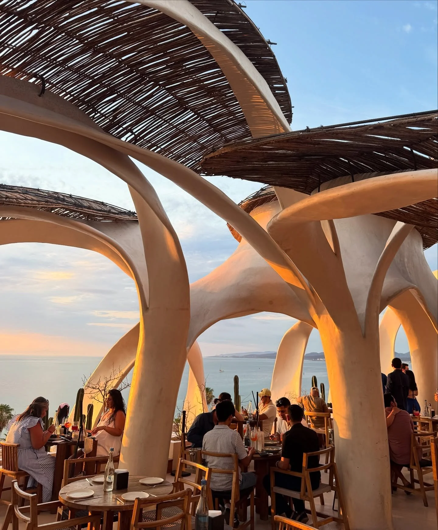 The La Paz Edit &mdash;

@azotea_hrp
@comedor_hrp 
@republicapagana 
@bajaclubhotel 
@balandramexicobeach