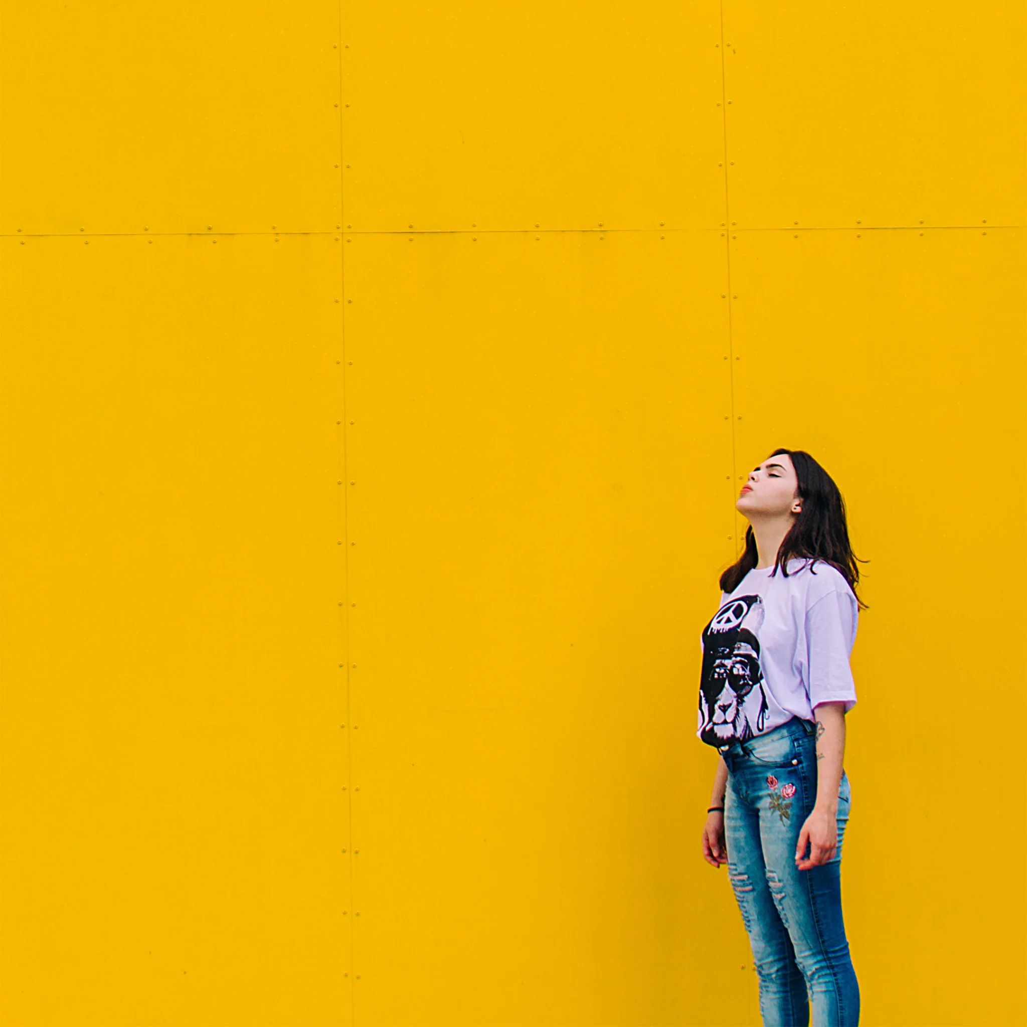 As the dream faded...