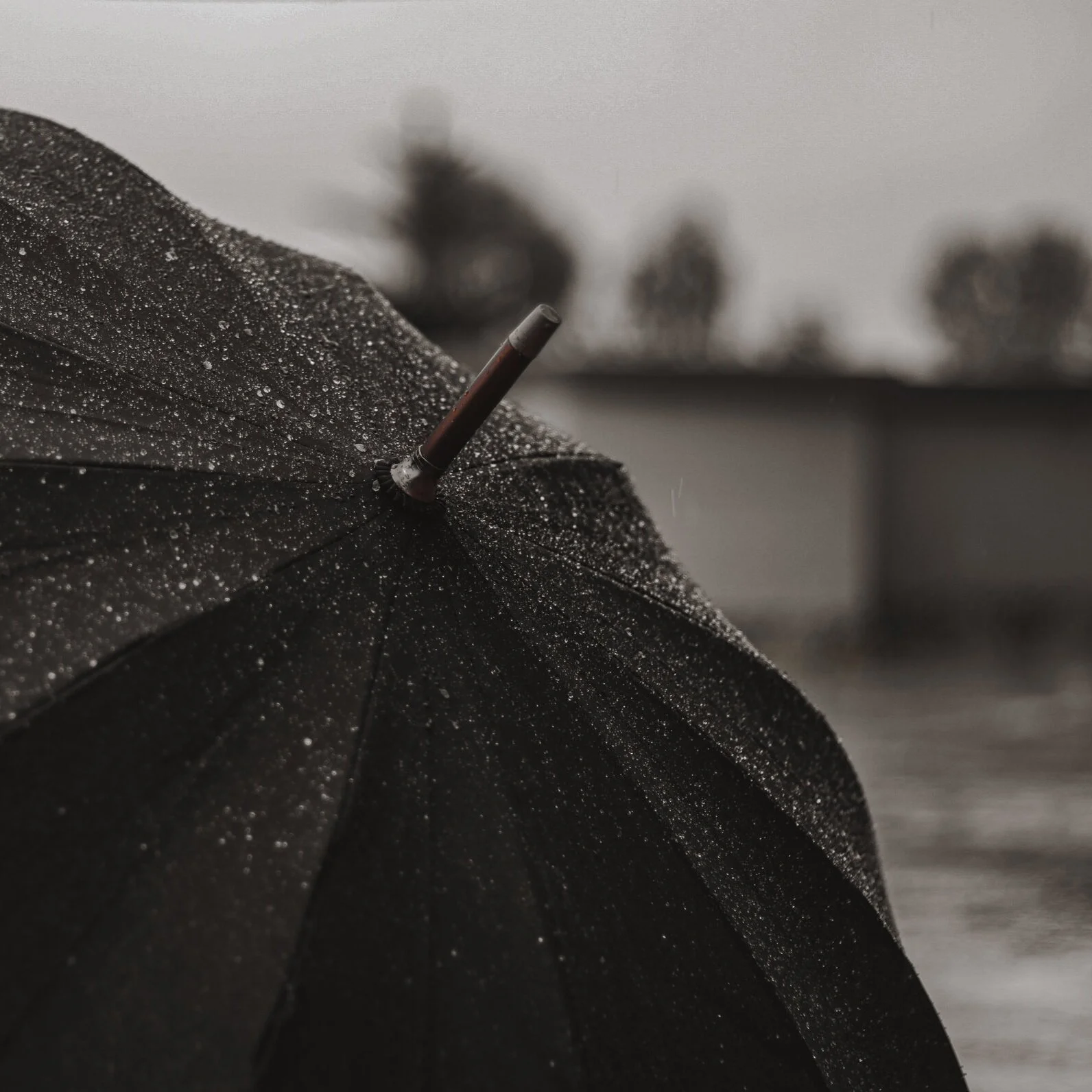 Parasol College