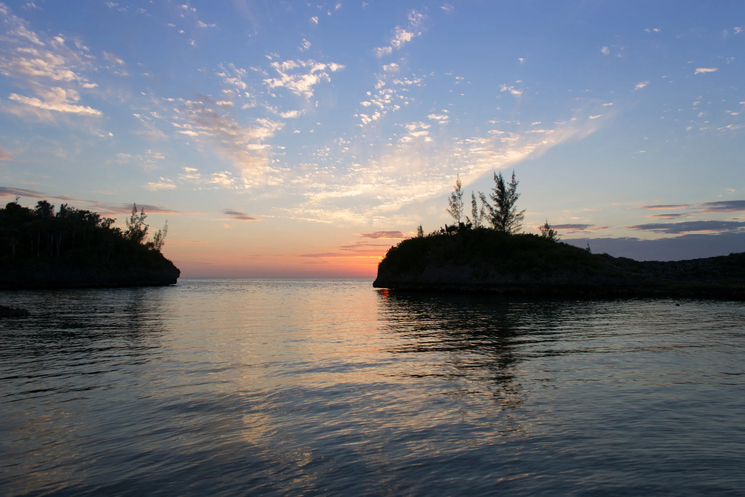 Mackeral Cove.jpg