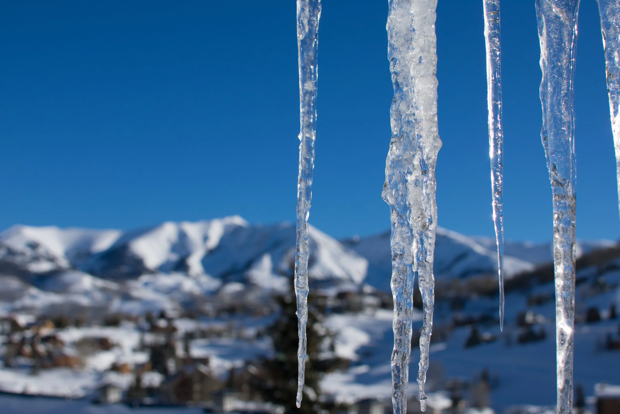 Icicles-2.jpg