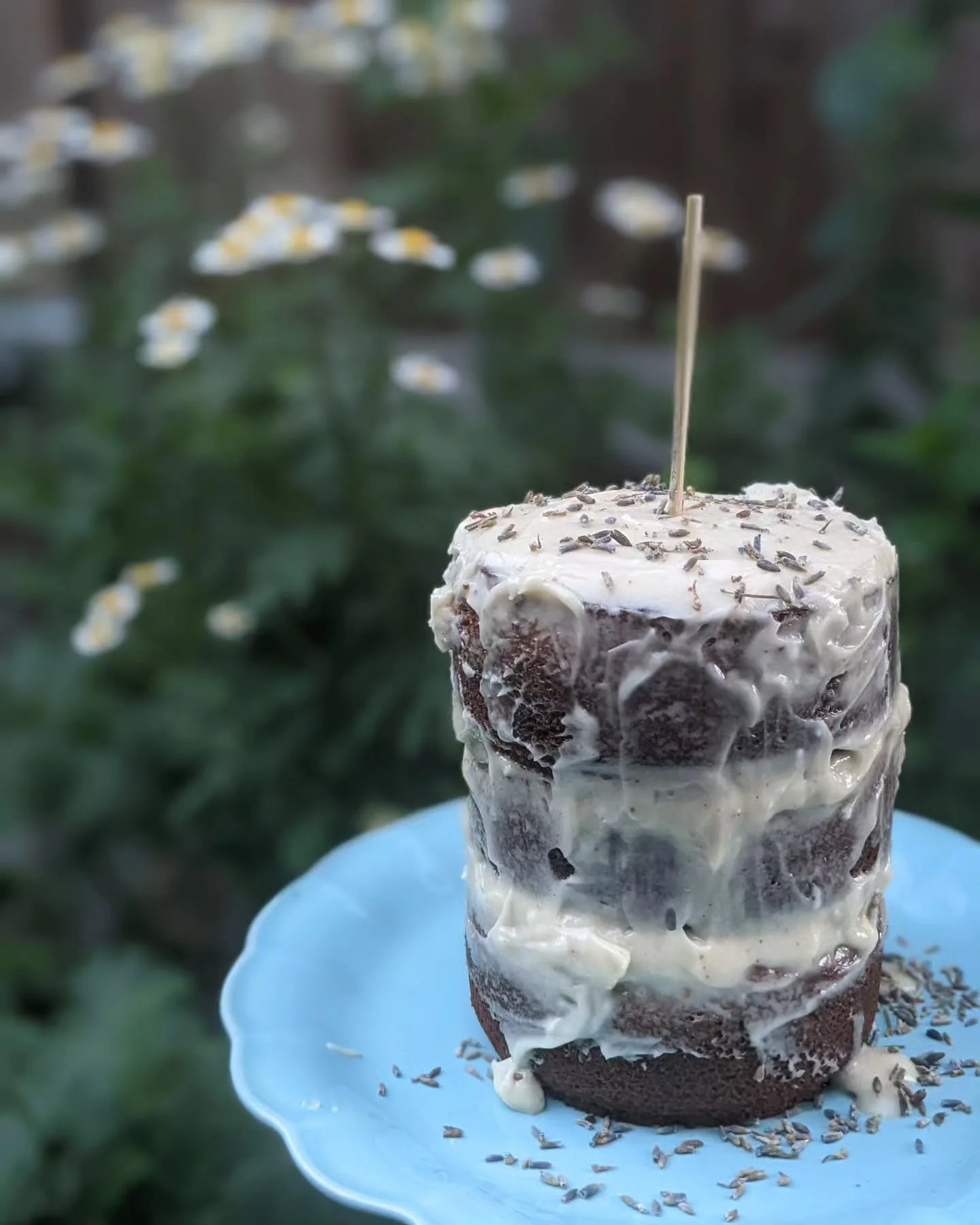 🎂 Happy Birthday to my fellow September babies! 🎉

May your day be filled with Sa&uacute;de / Health, Paz / Peace &amp; Amor / Love 🥬🕊️💙

And may your day be a beautiful celebration of you!

We are blessed to have 2 celebrants in our home this m