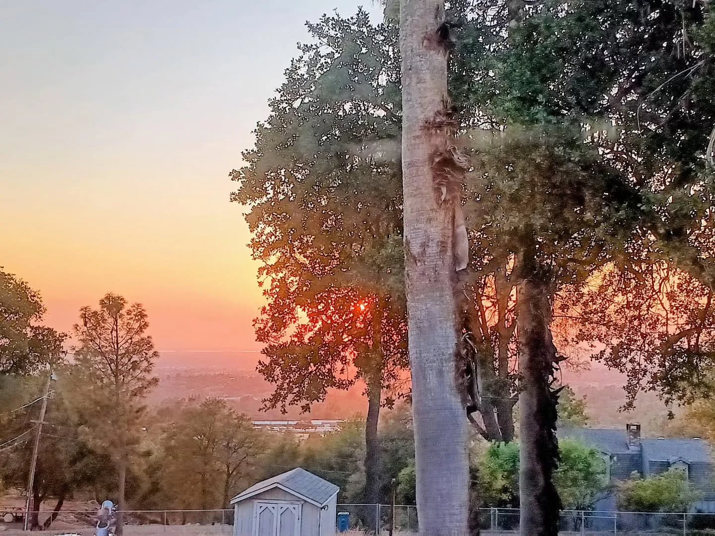Tonight's dinner with a view.

Grateful for the opportunity to appreciate the surrounding nature as the sun sets at dinner this autumn.

The view never gets old &amp; healing.

What are you grateful for this autumn?

Photo credit: @lexiandherlens 

#