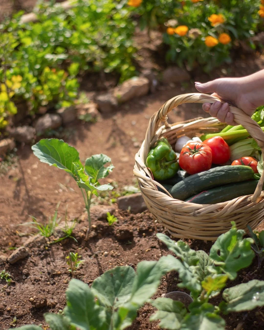 California Seasonal Produce Guide