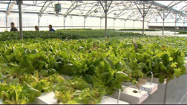 WCAX News