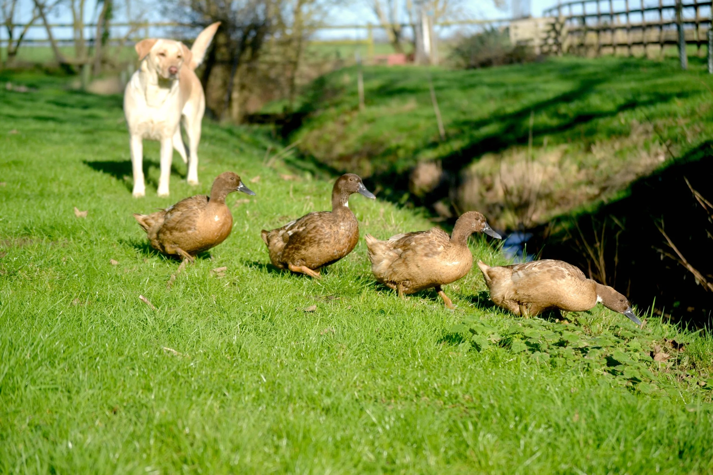 The Seasons Outside My Back Door: Week 2 January 2016