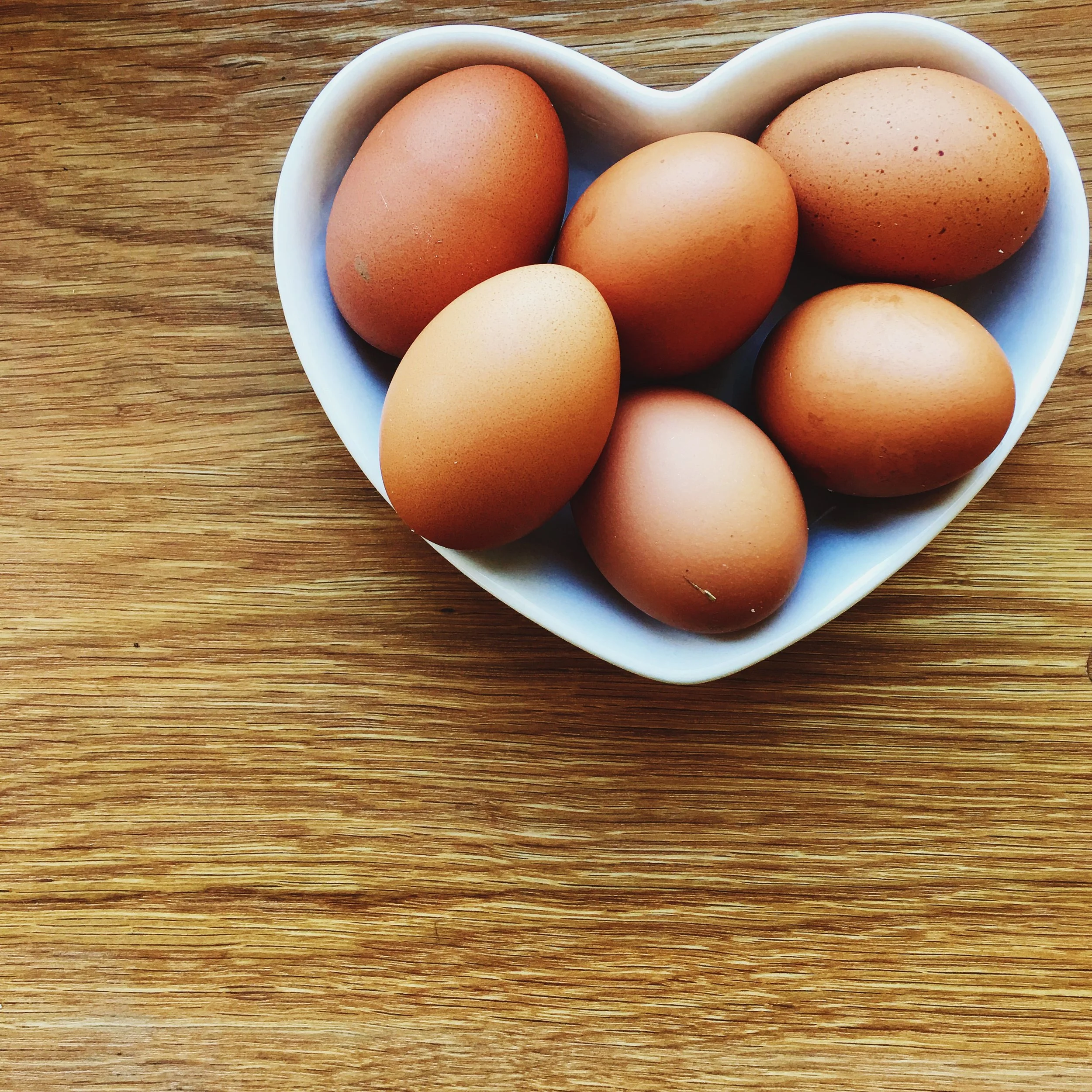 A Video Diary of an Expectant Chicken