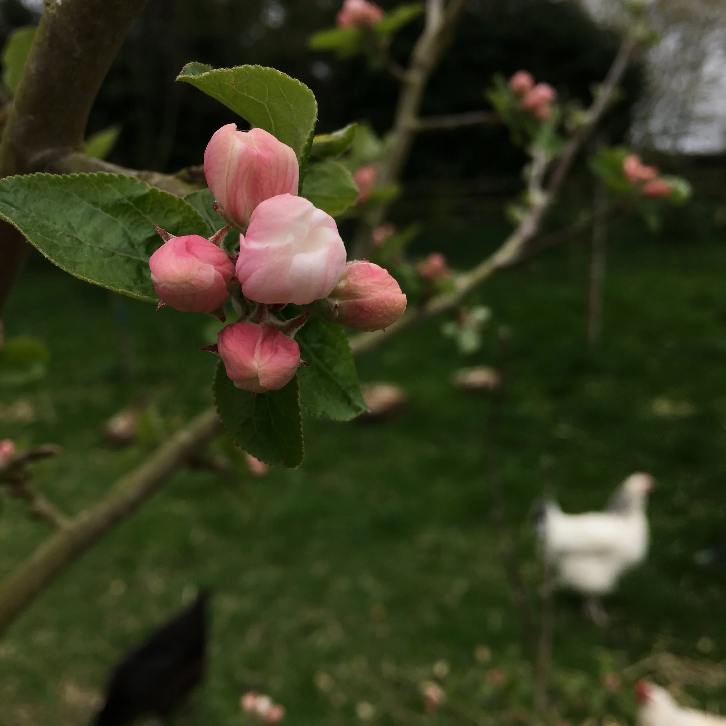 Why I Love the Outdoors