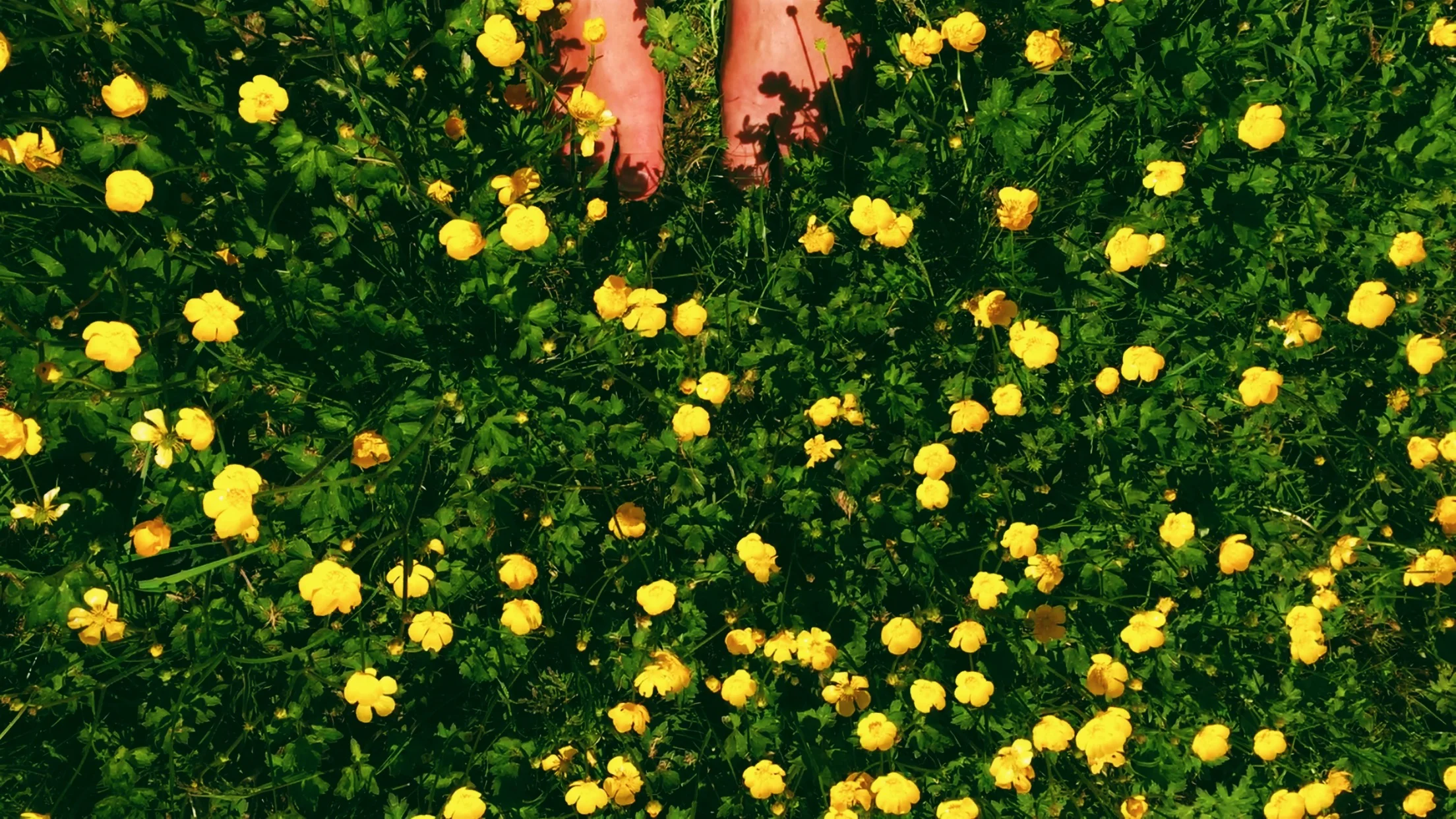 Filling the creative well