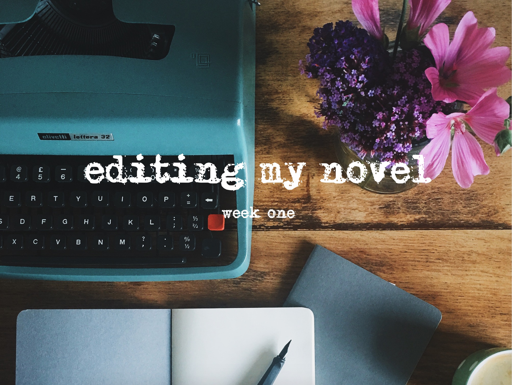 Editing my novel - week one