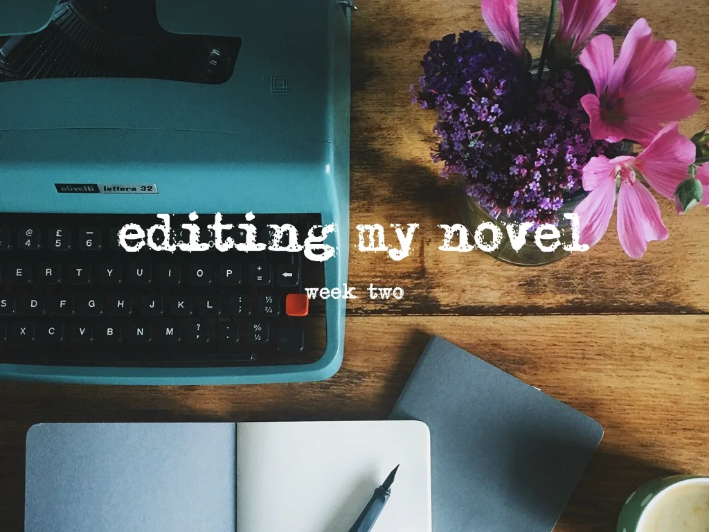 Editing my novel - week TWO