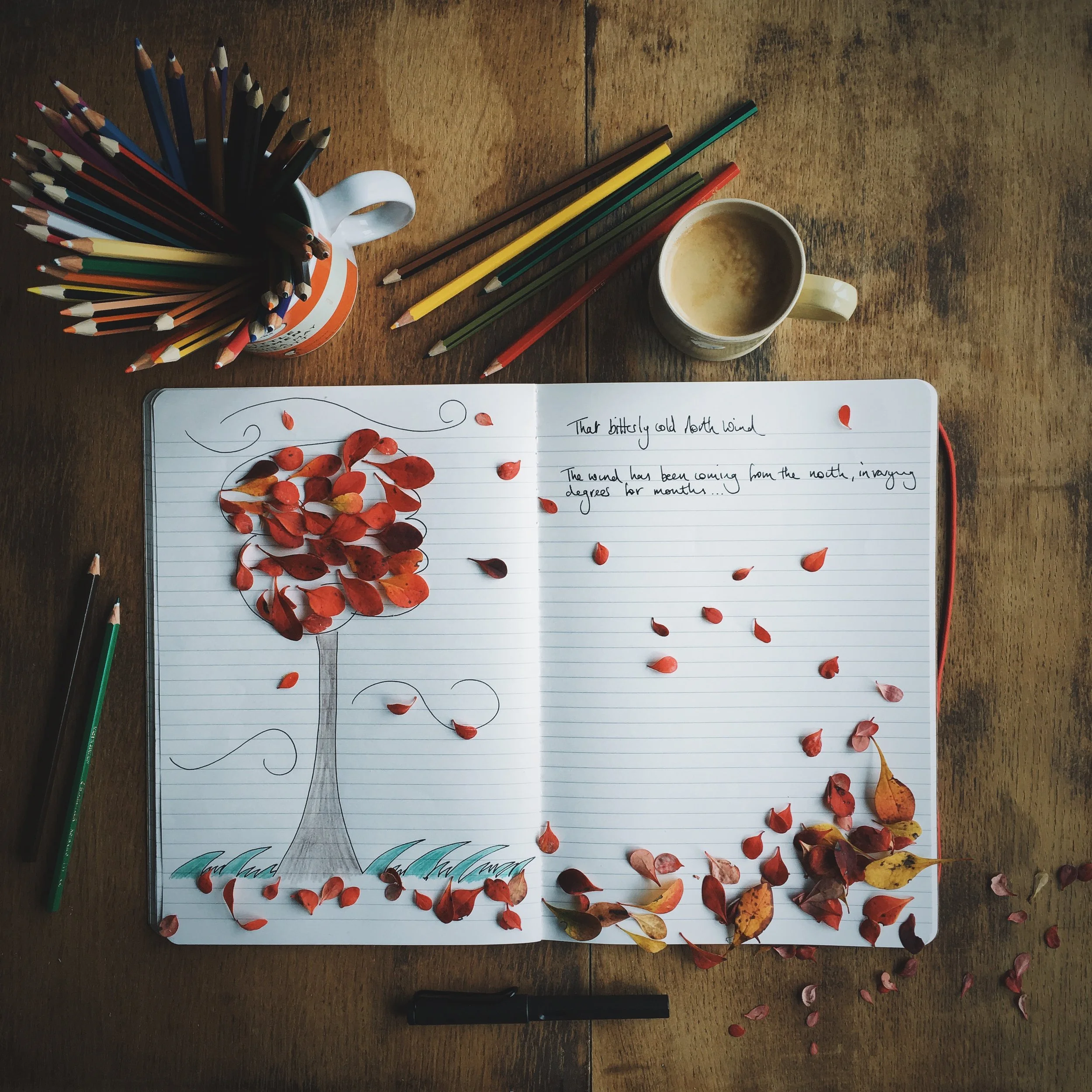 An honest review of my year