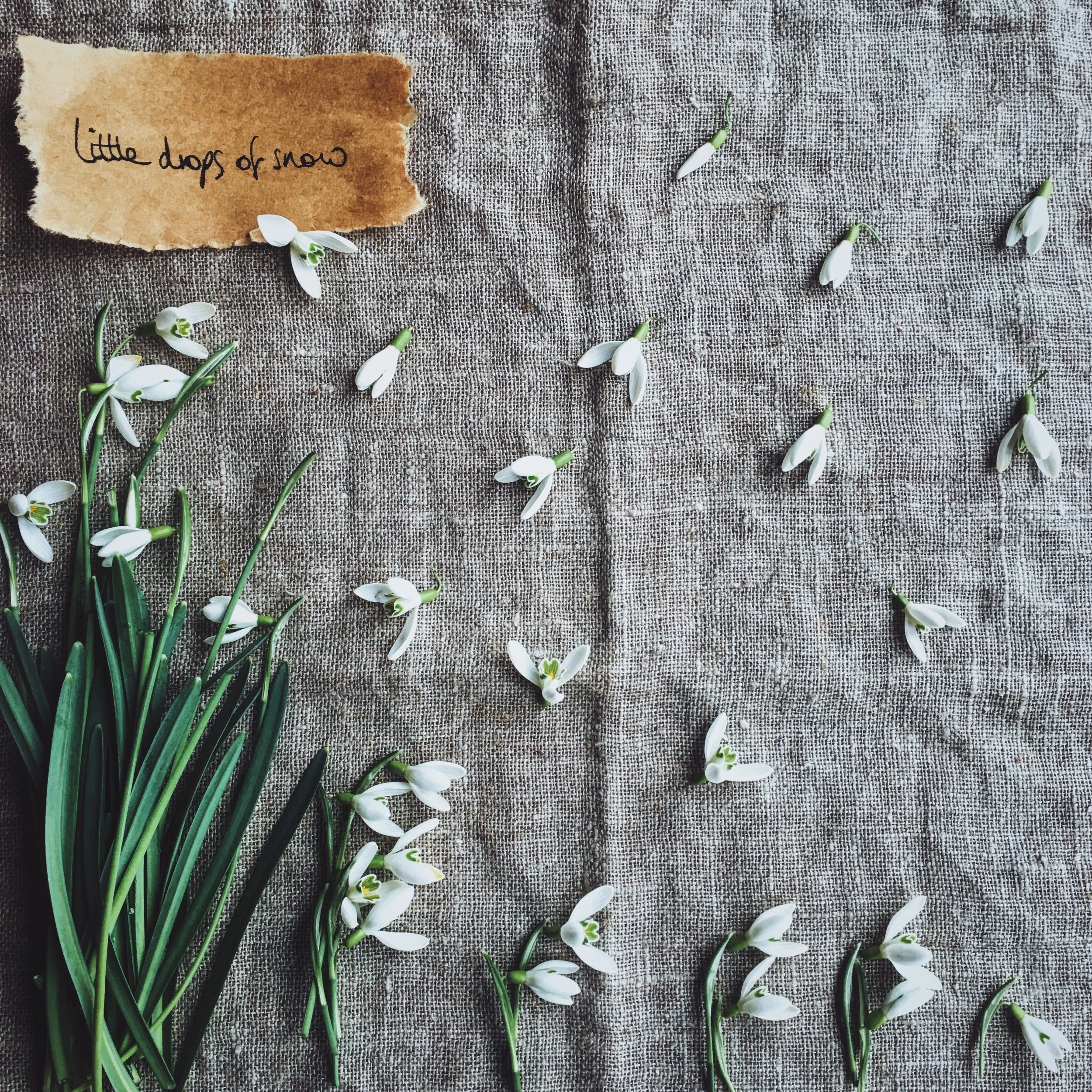 How I Gained over 15,000 Instagram Followers