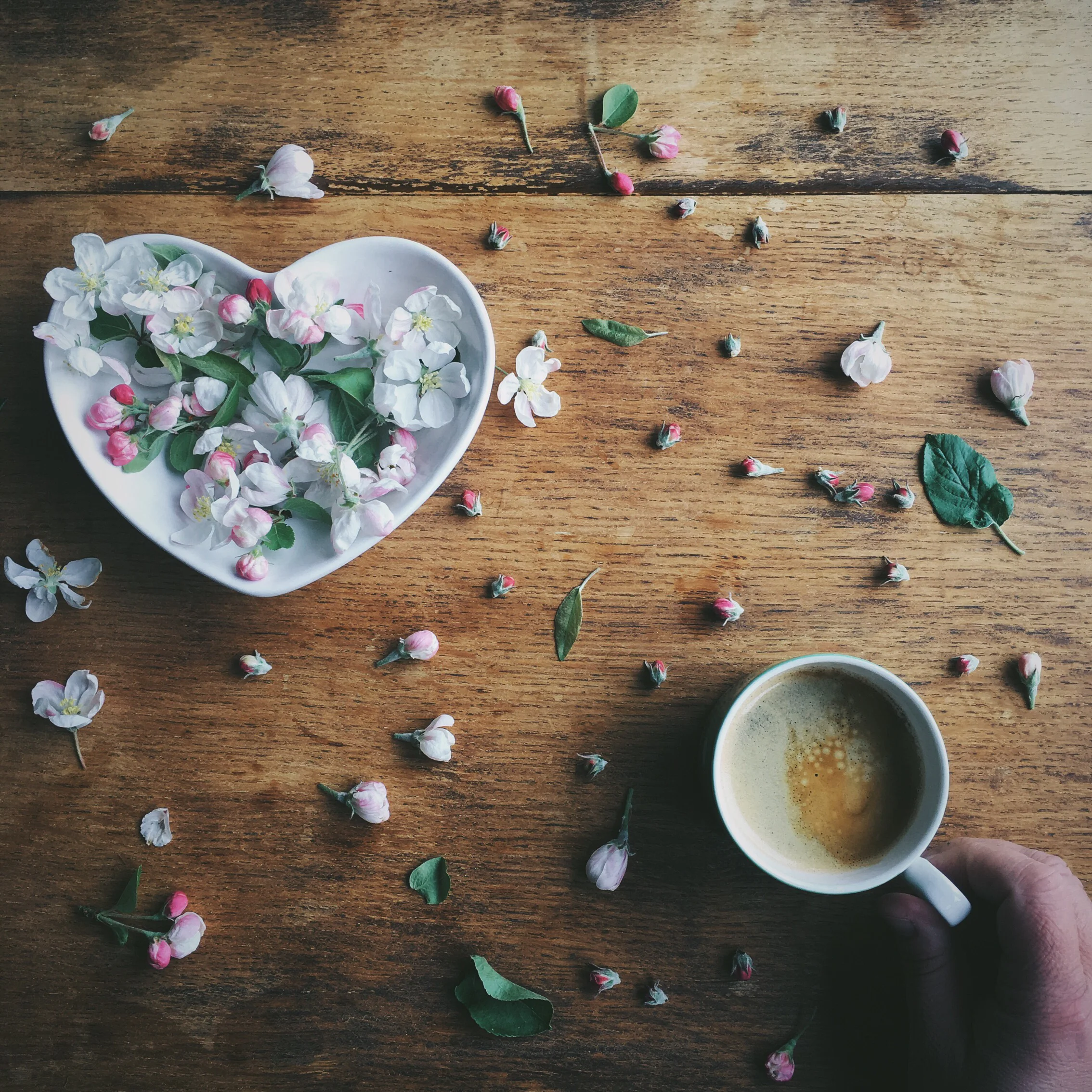 Why I'm Creating a Business to help Passionate & Purposeful Creatives & Writers