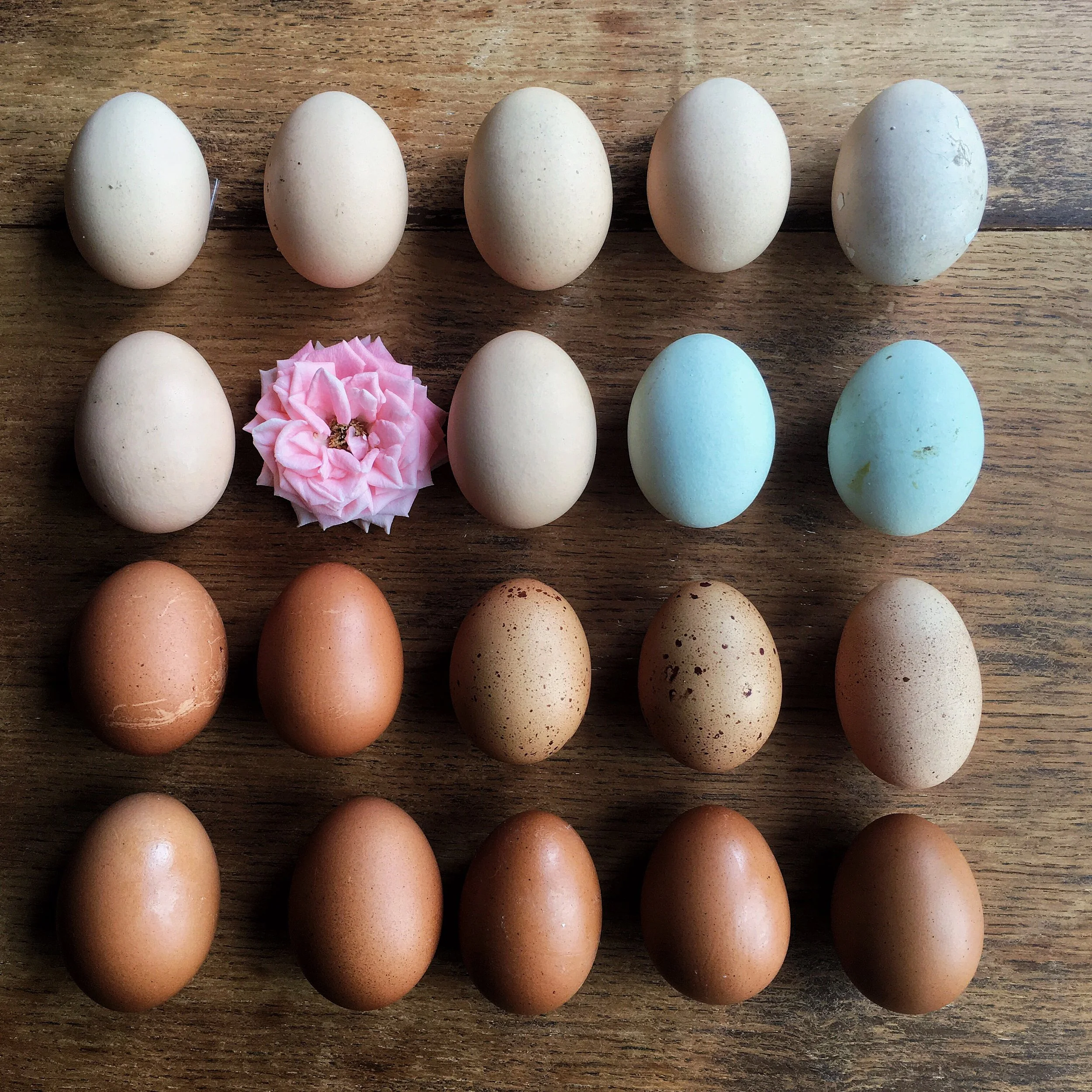 Is social media stifling creativity? 