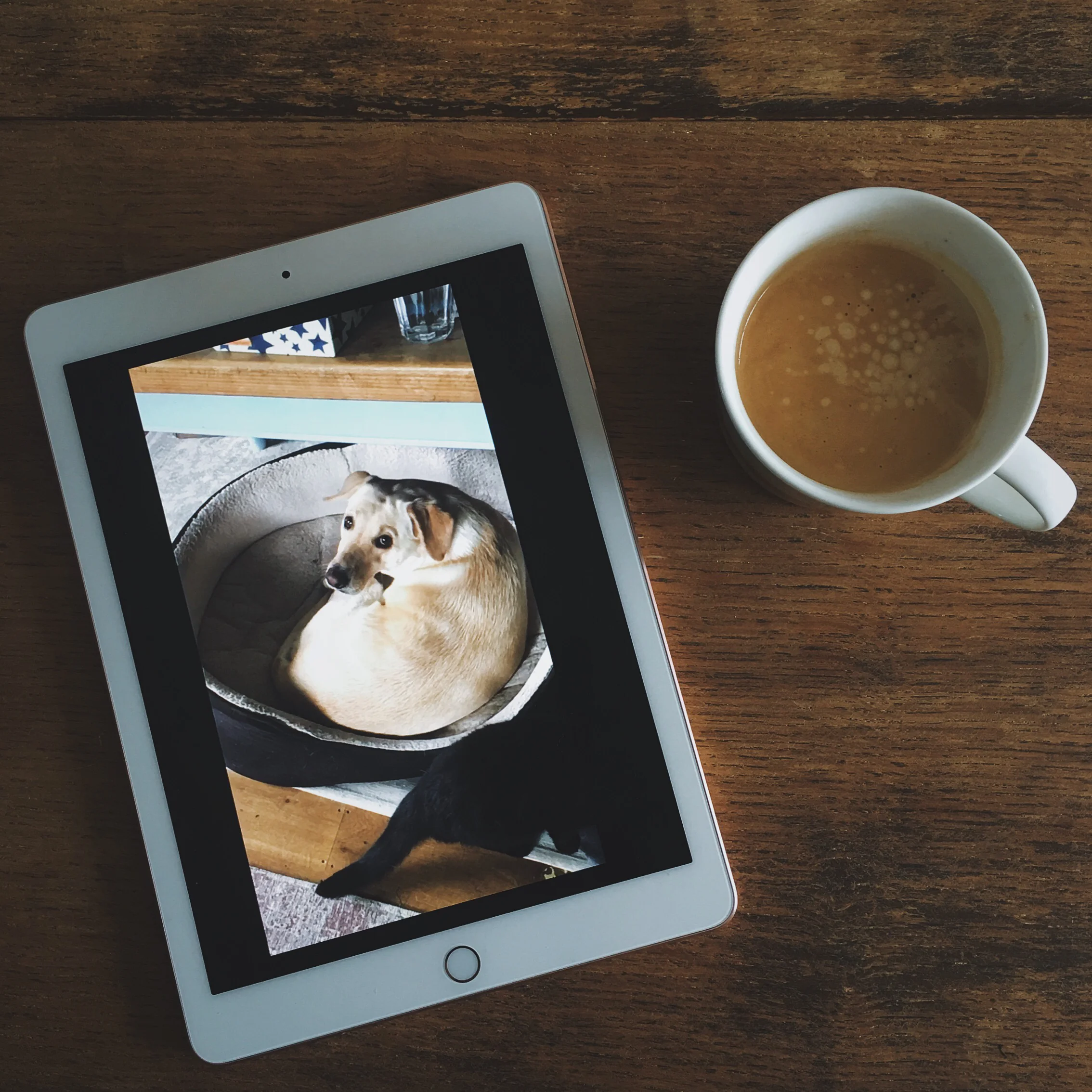 Why I Love to Create Video Montages for Instagram Stories