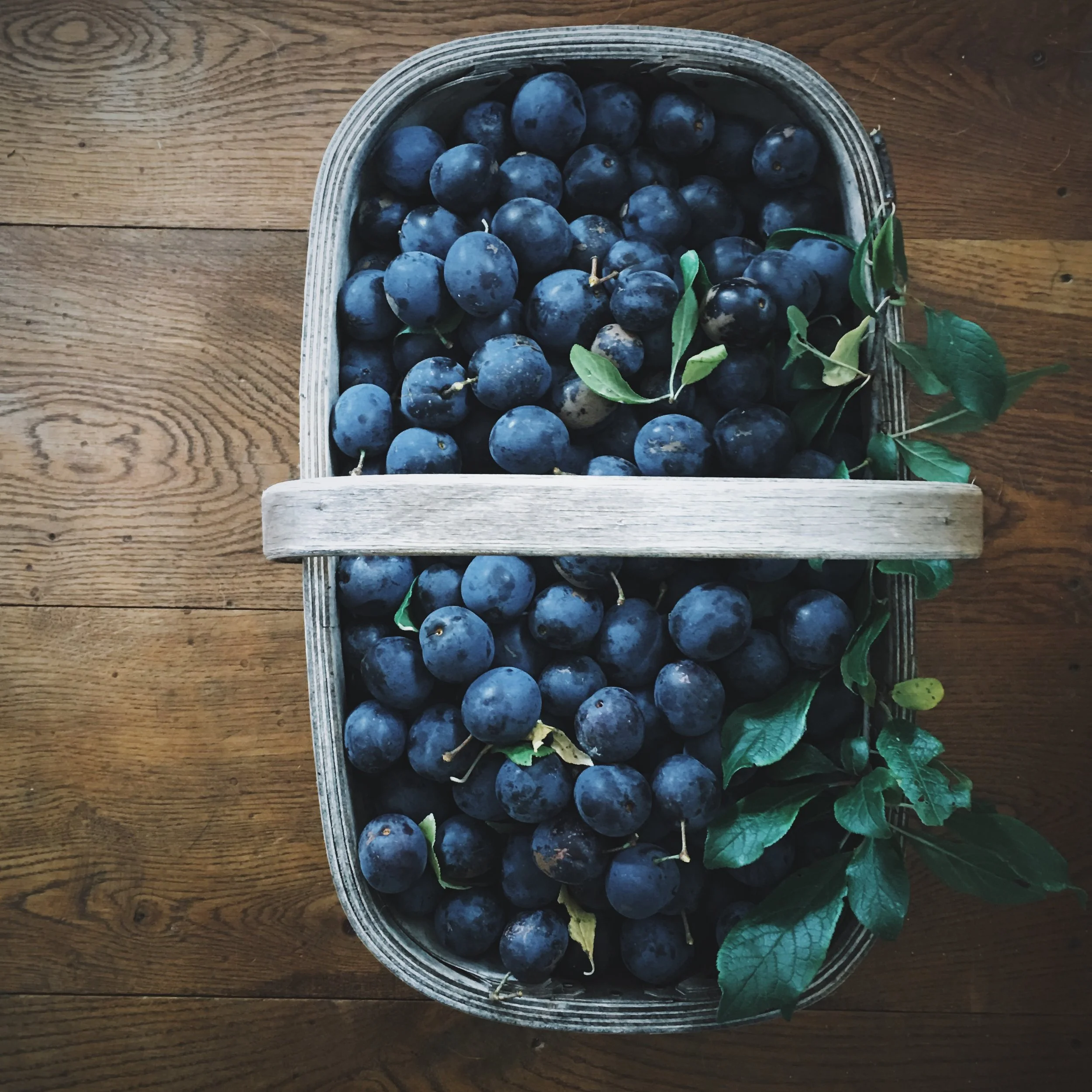 My beautiful relationship with homemade damson jam (plus recipe)