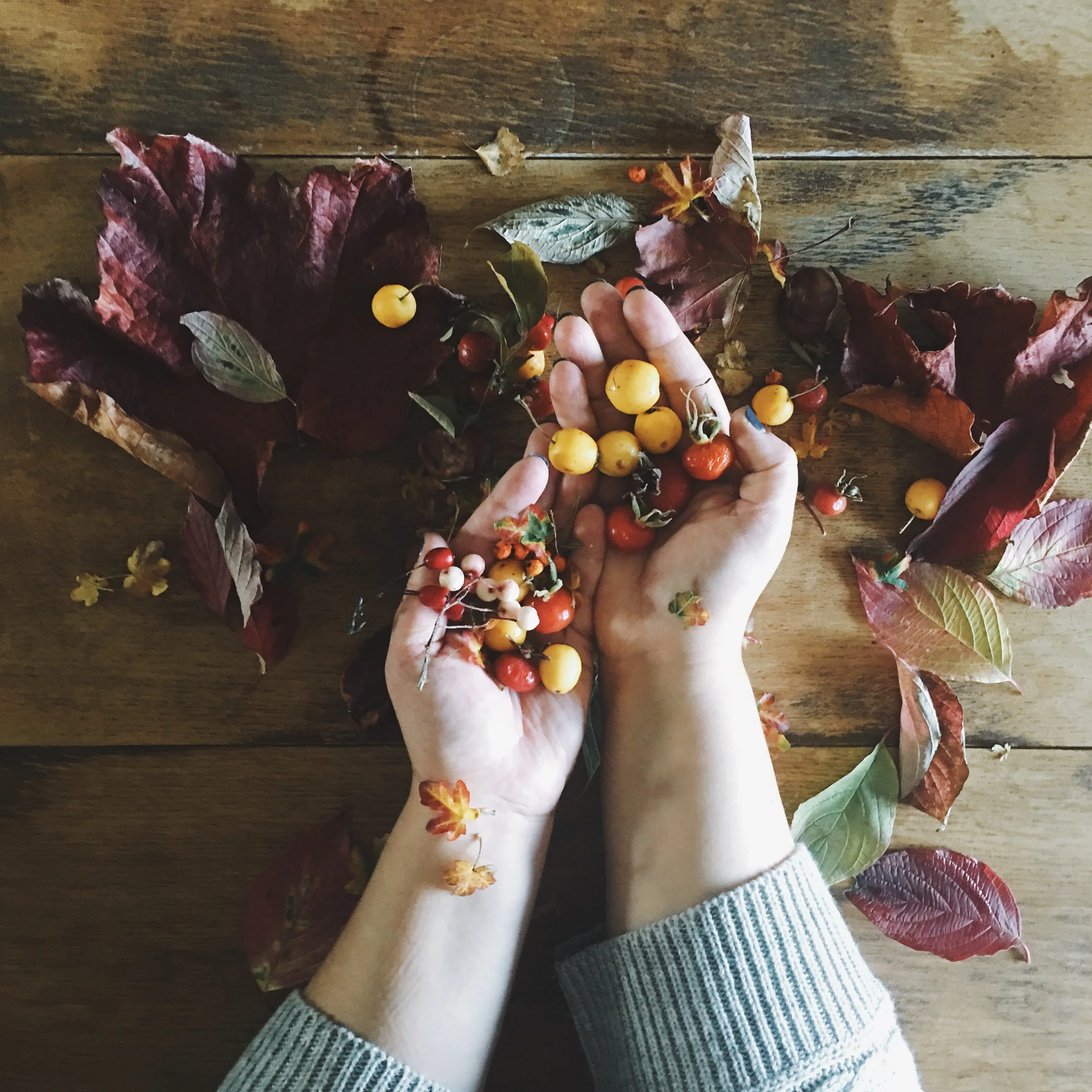 Recommended Instagram Story Makers