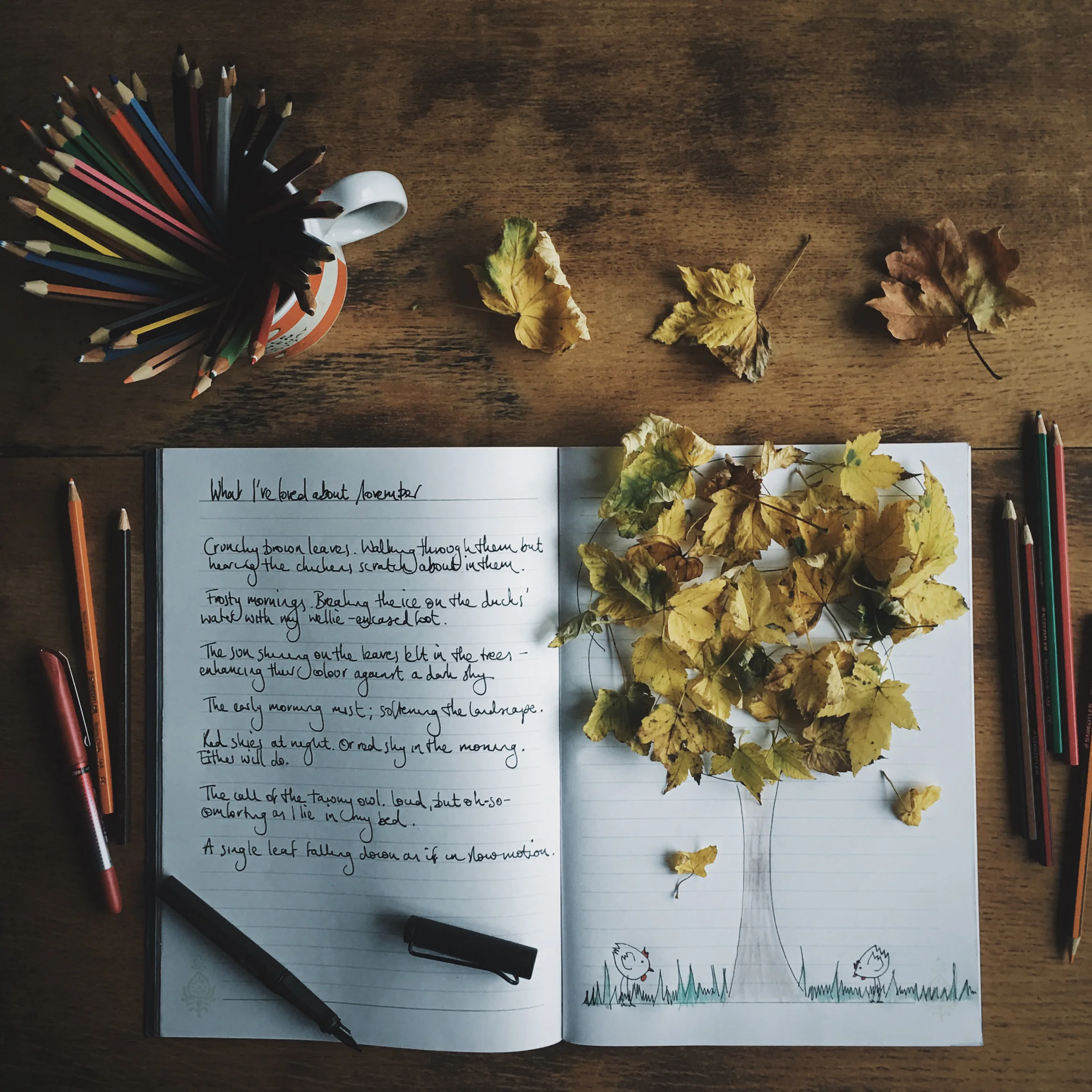 Picture Perfect: the evolution of my Instagram Feed