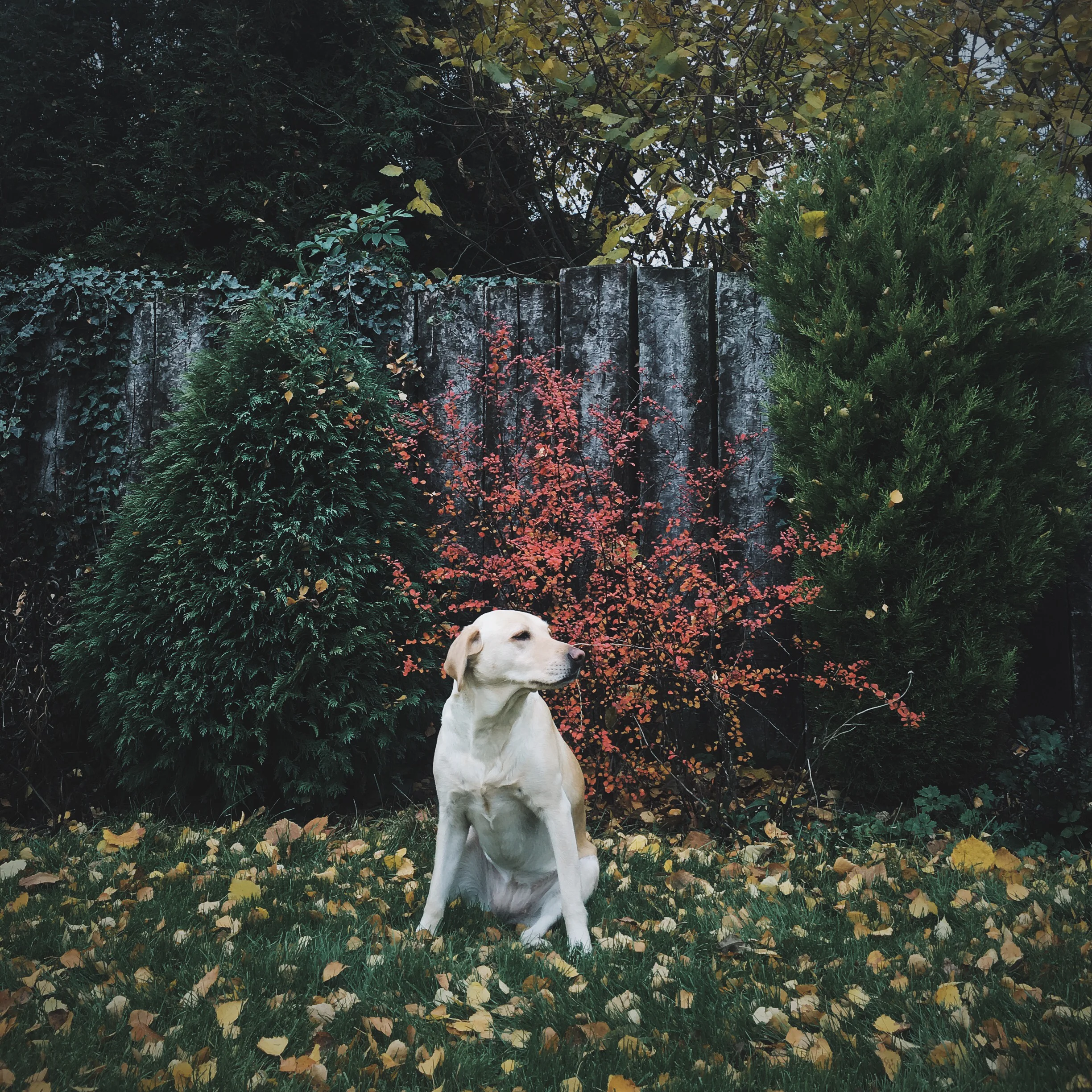 My Stories || November 