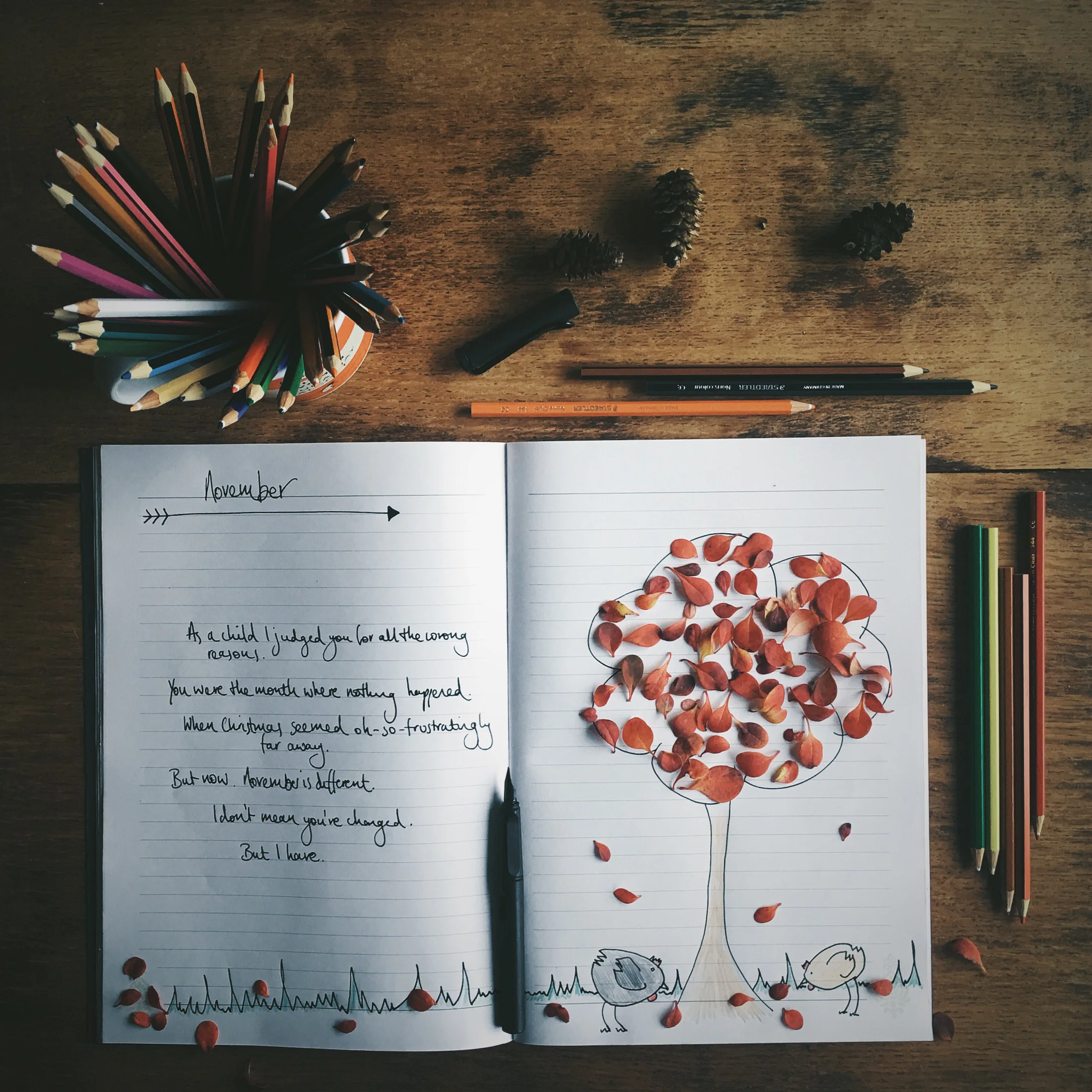 What's Your Instagram Story, Naomi?