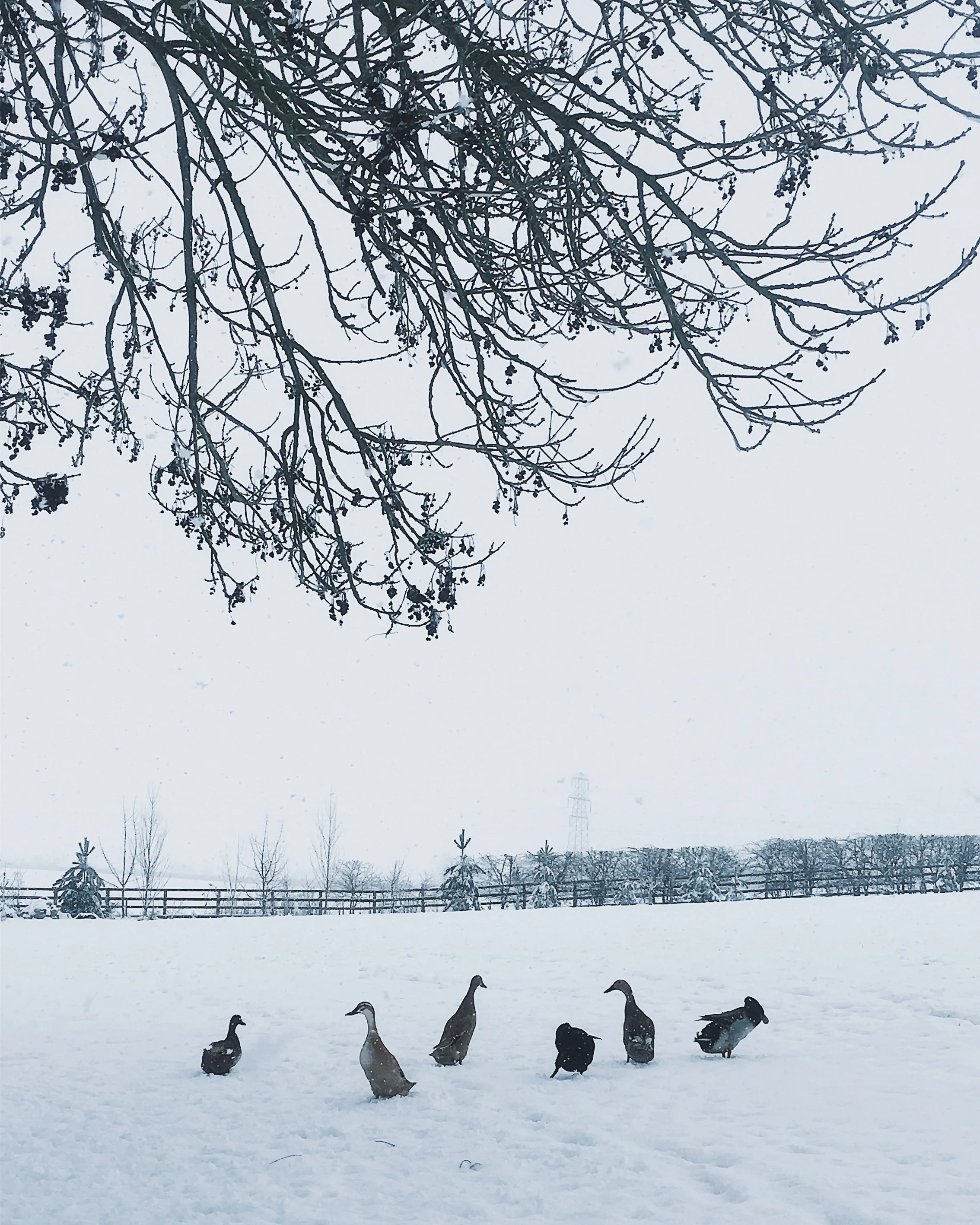 An honest post about my creative year & my ideas for 2018