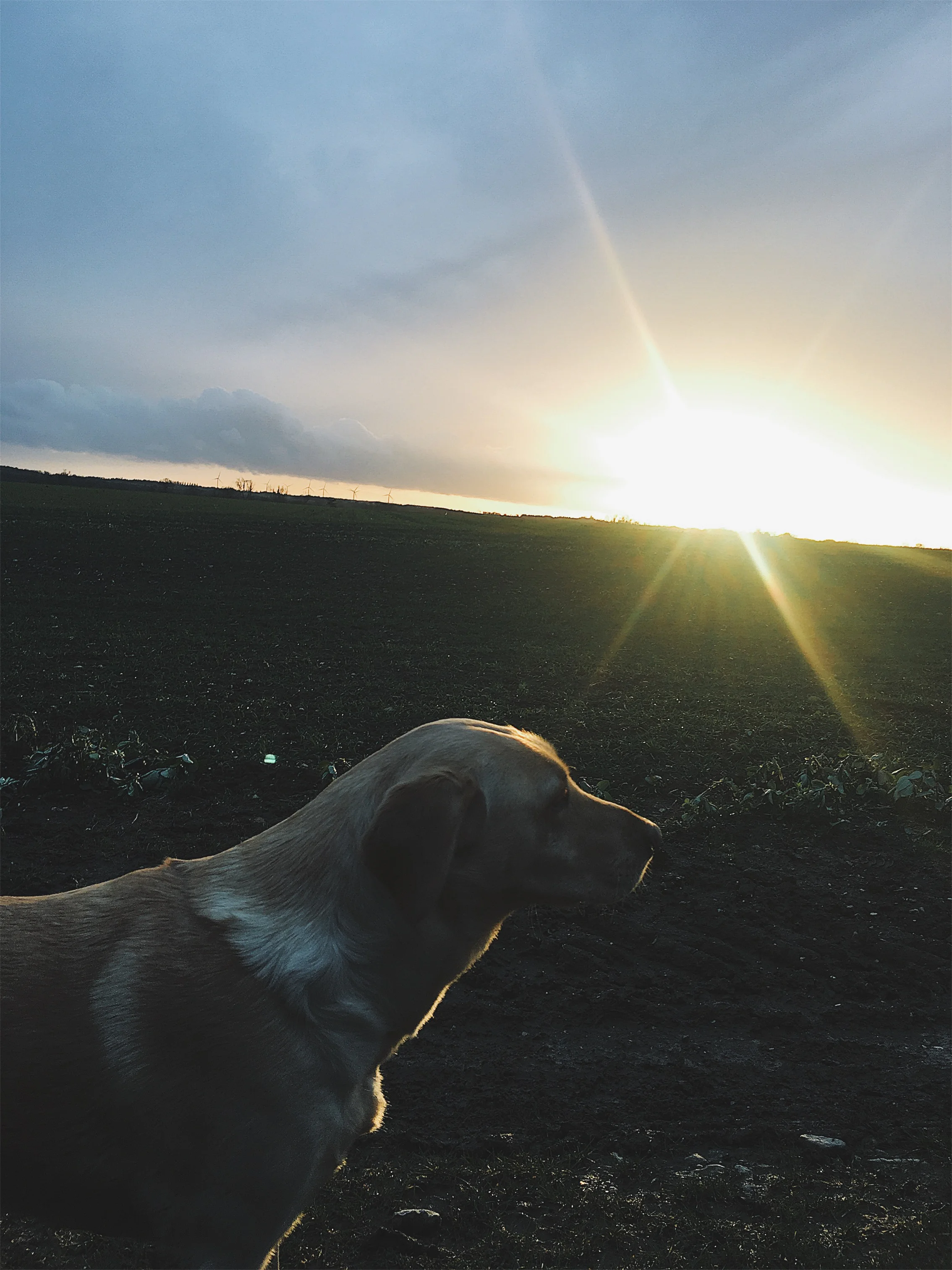 Are You Looking for (Gentle) Blogging Inspiration in 2018?