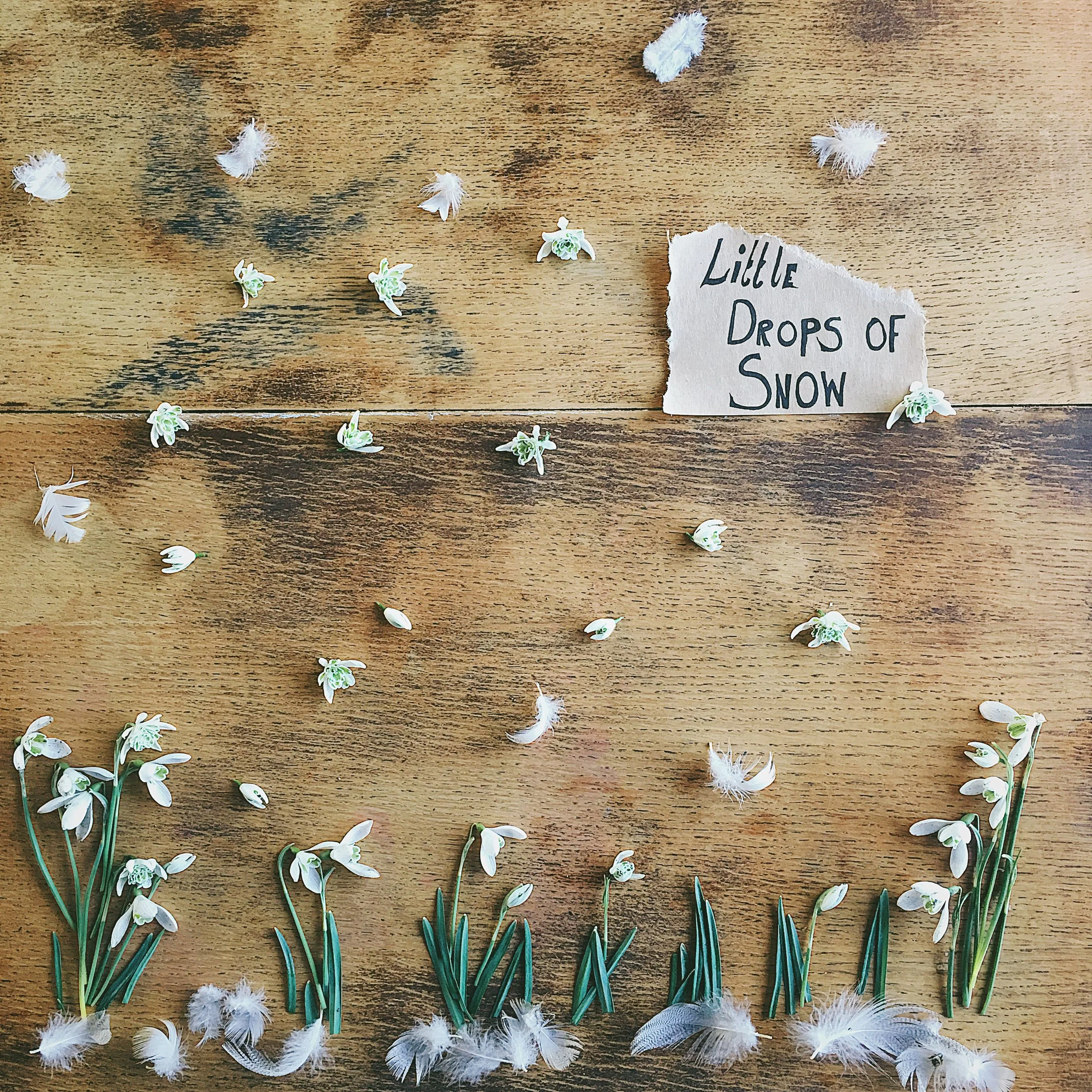 How I feel after writing an e-course