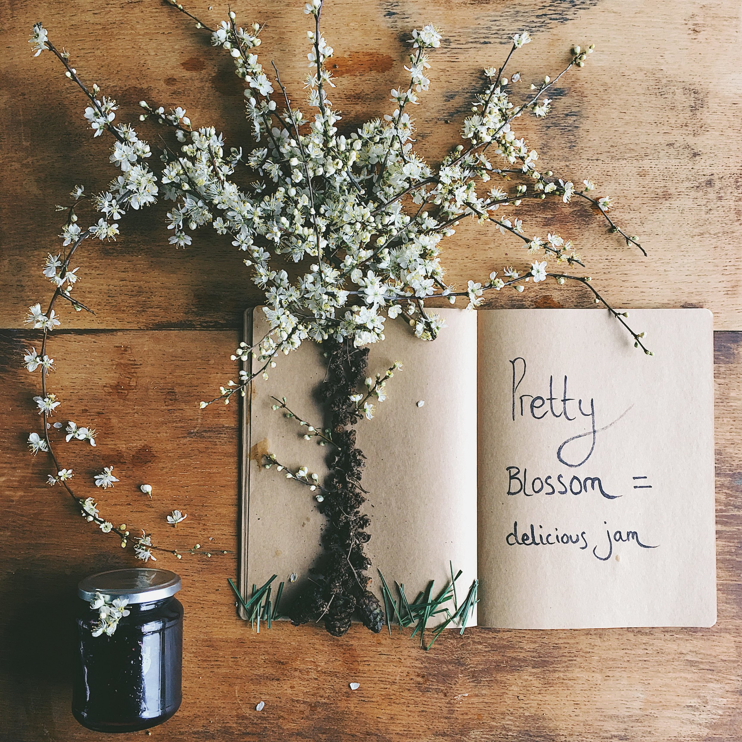 5 things I couldn't do before moving to the country