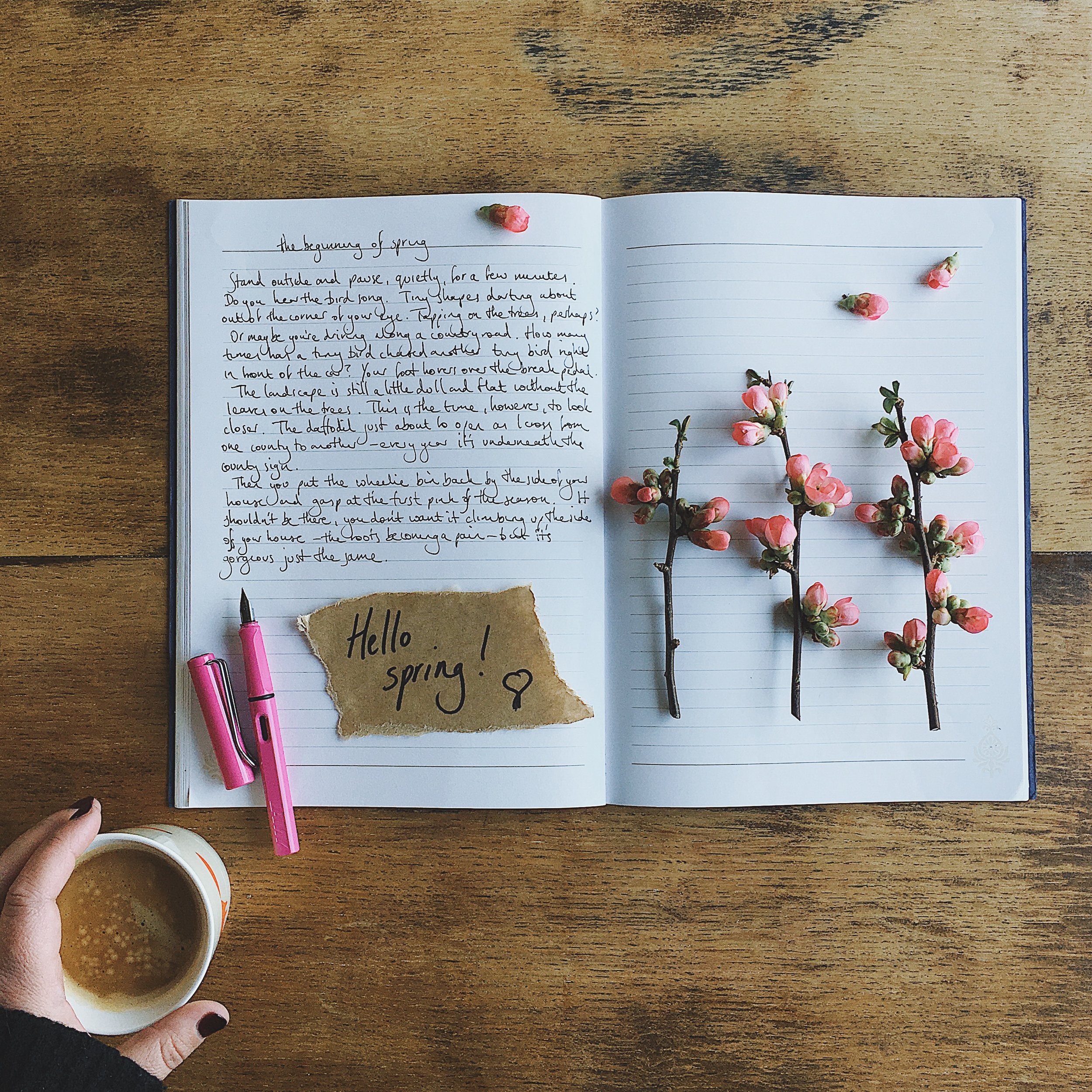 My Writing Projects for the Month of May (and why working on projects in monthly 'chunks' is more efficient for me )