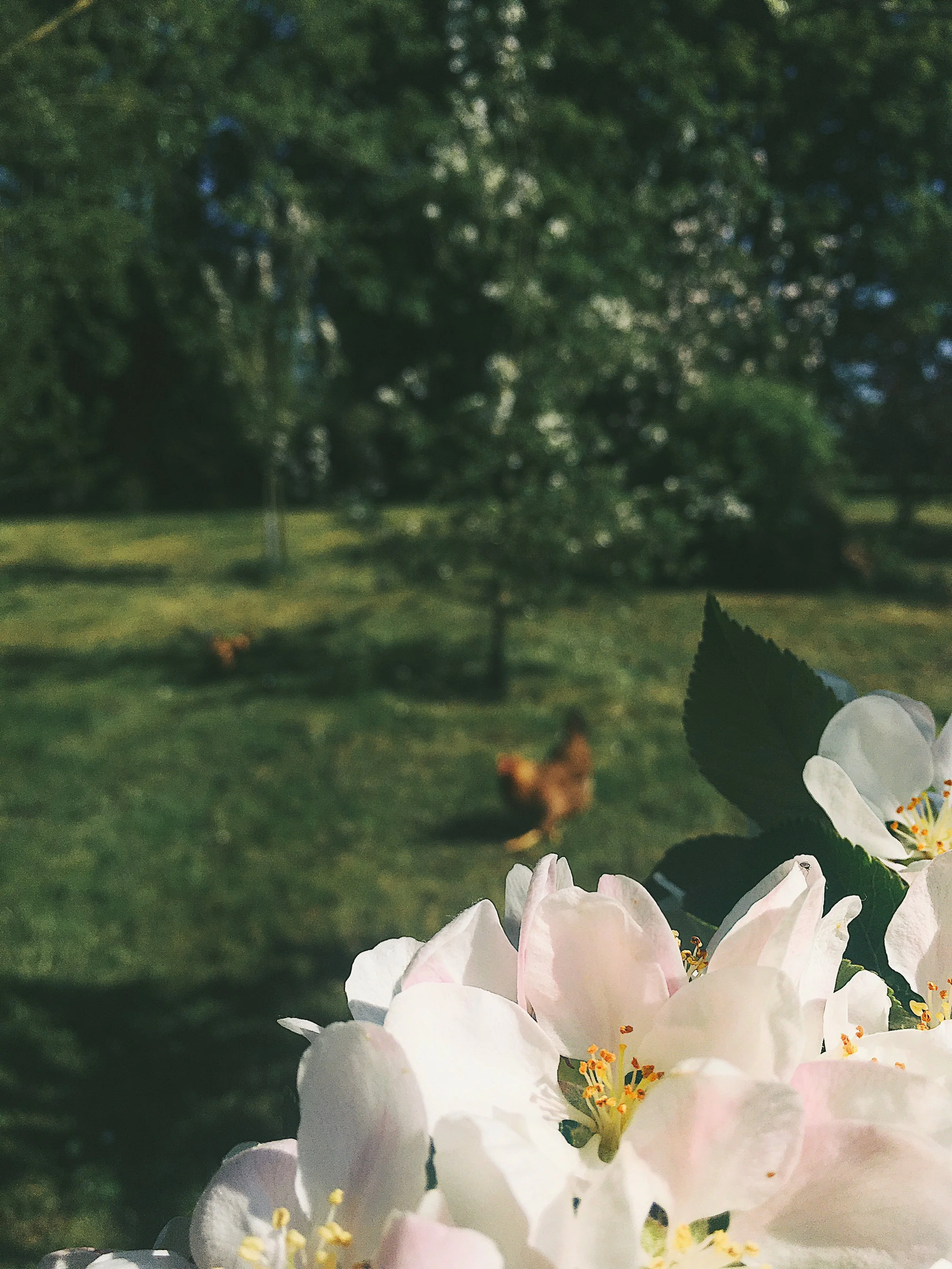 A reflection on Bank Holidays past