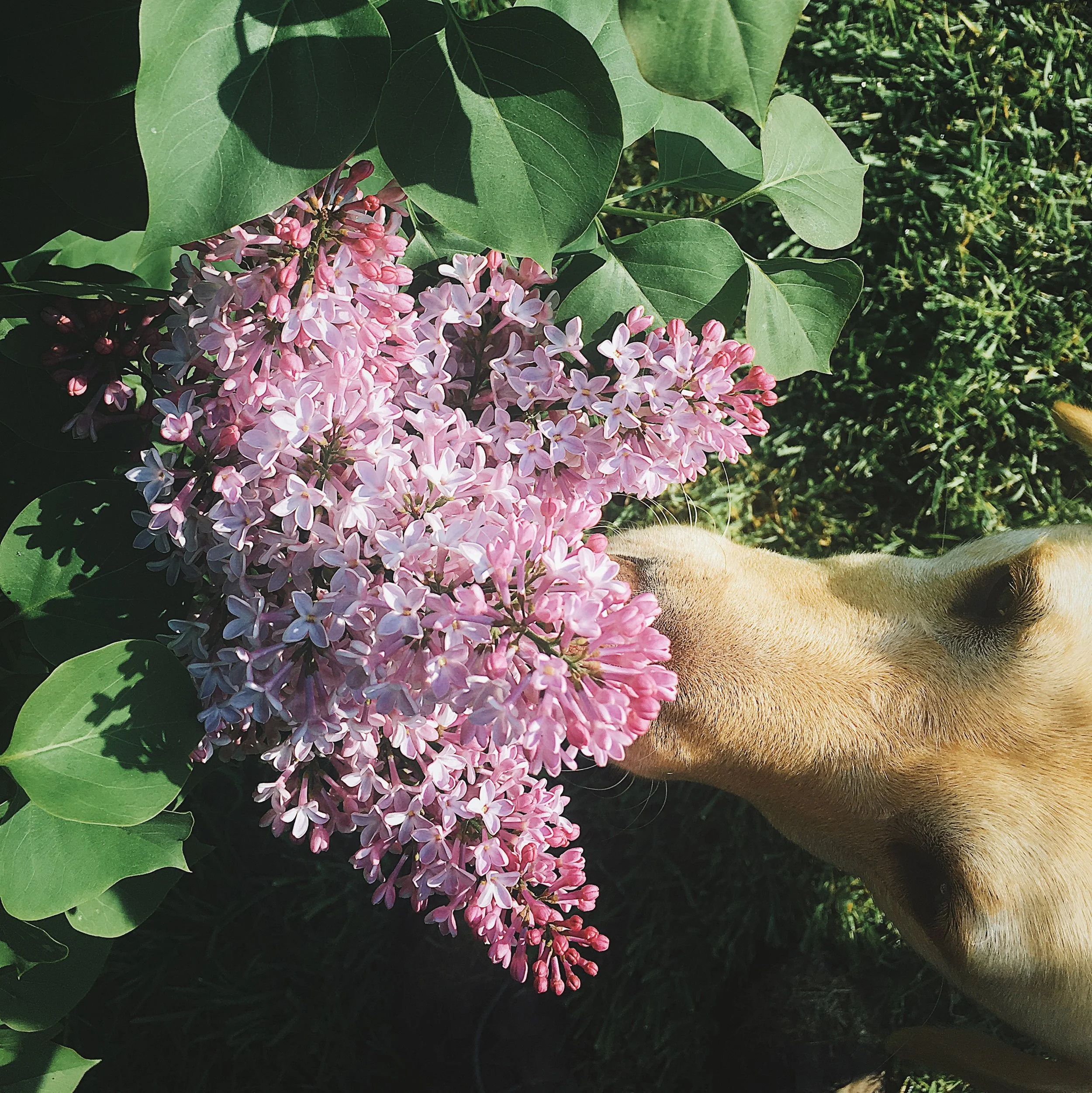 It's not you, Instagram, it's me.