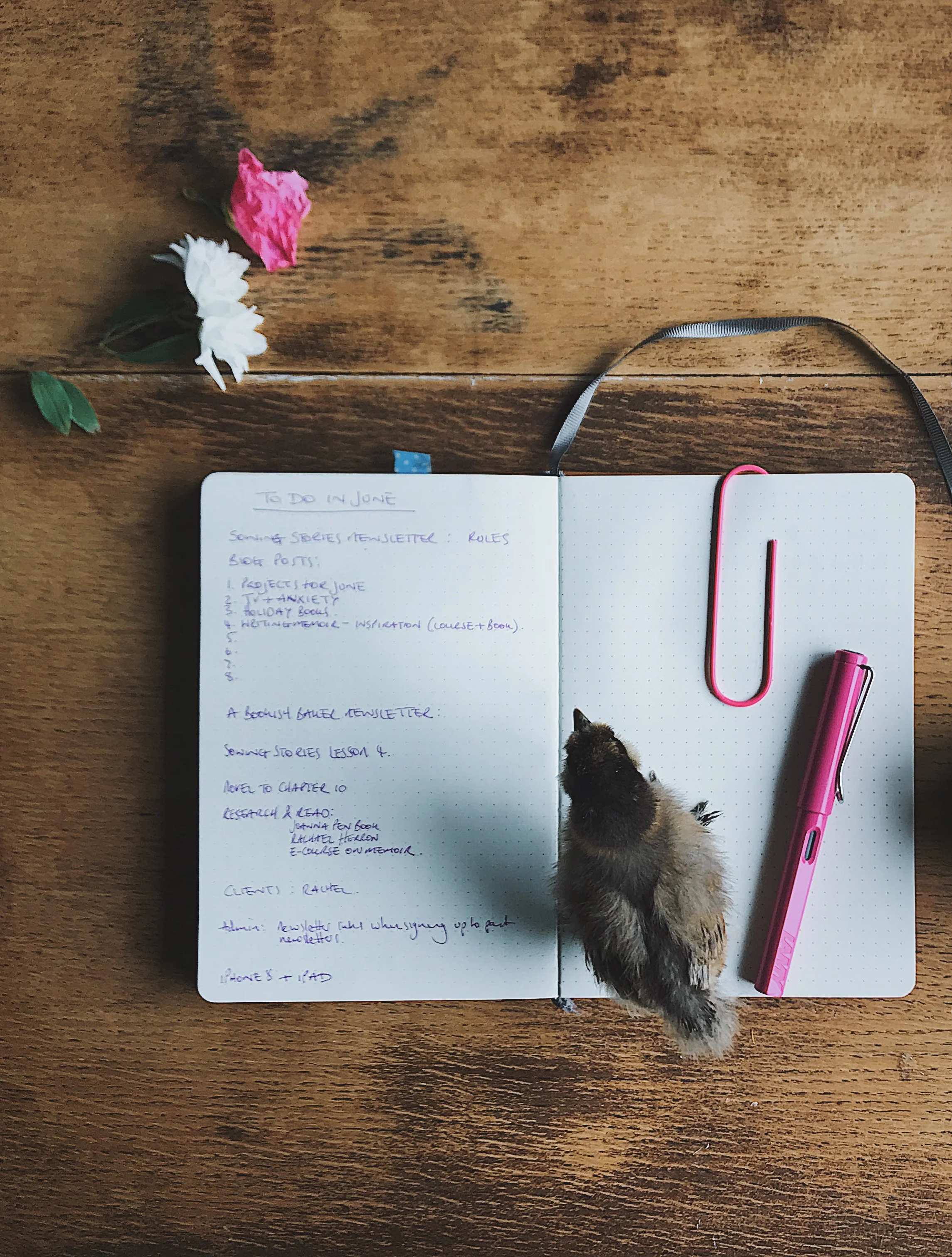 My writing projects for the month of June