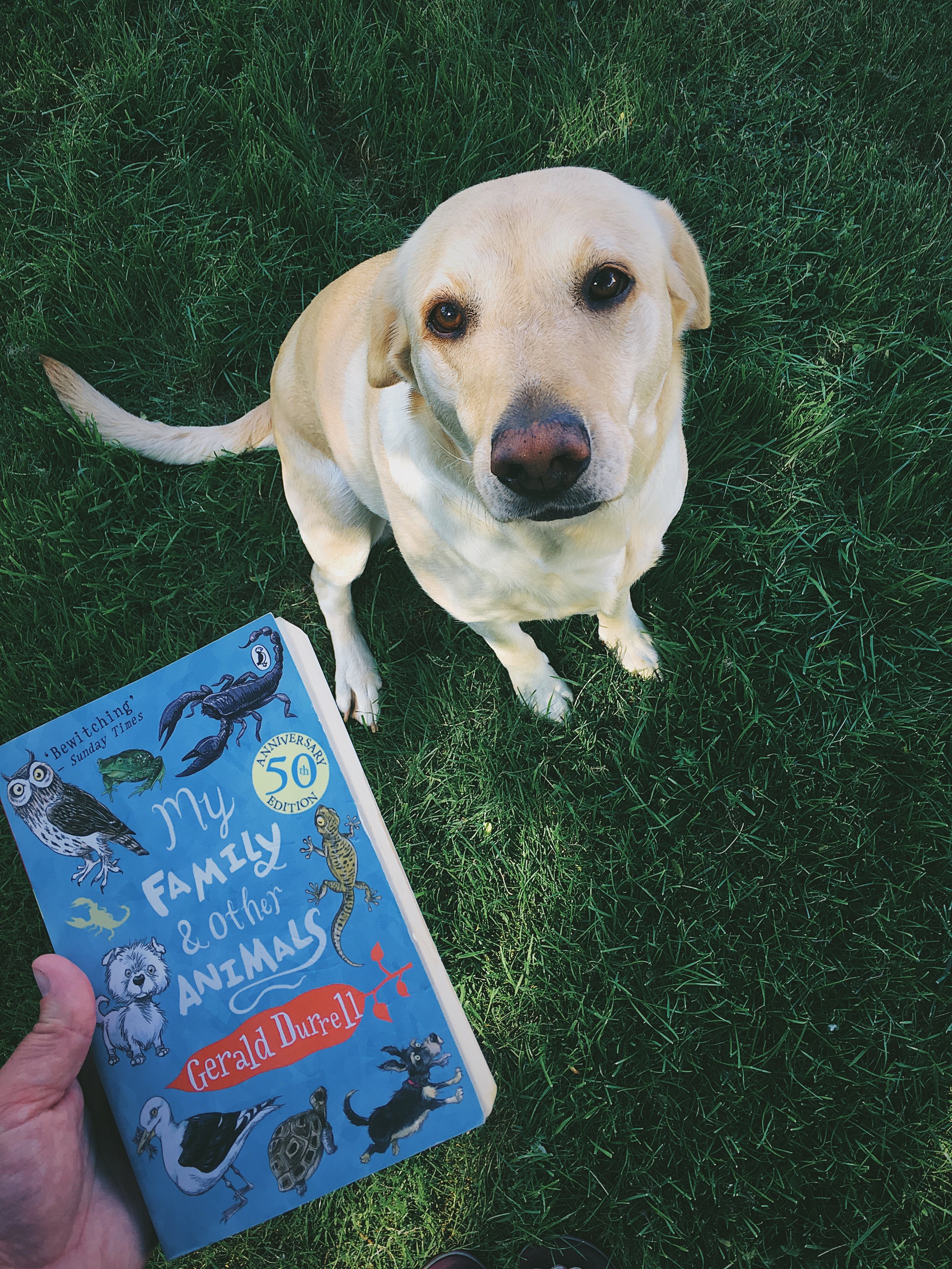 Five television series that don't make me anxious