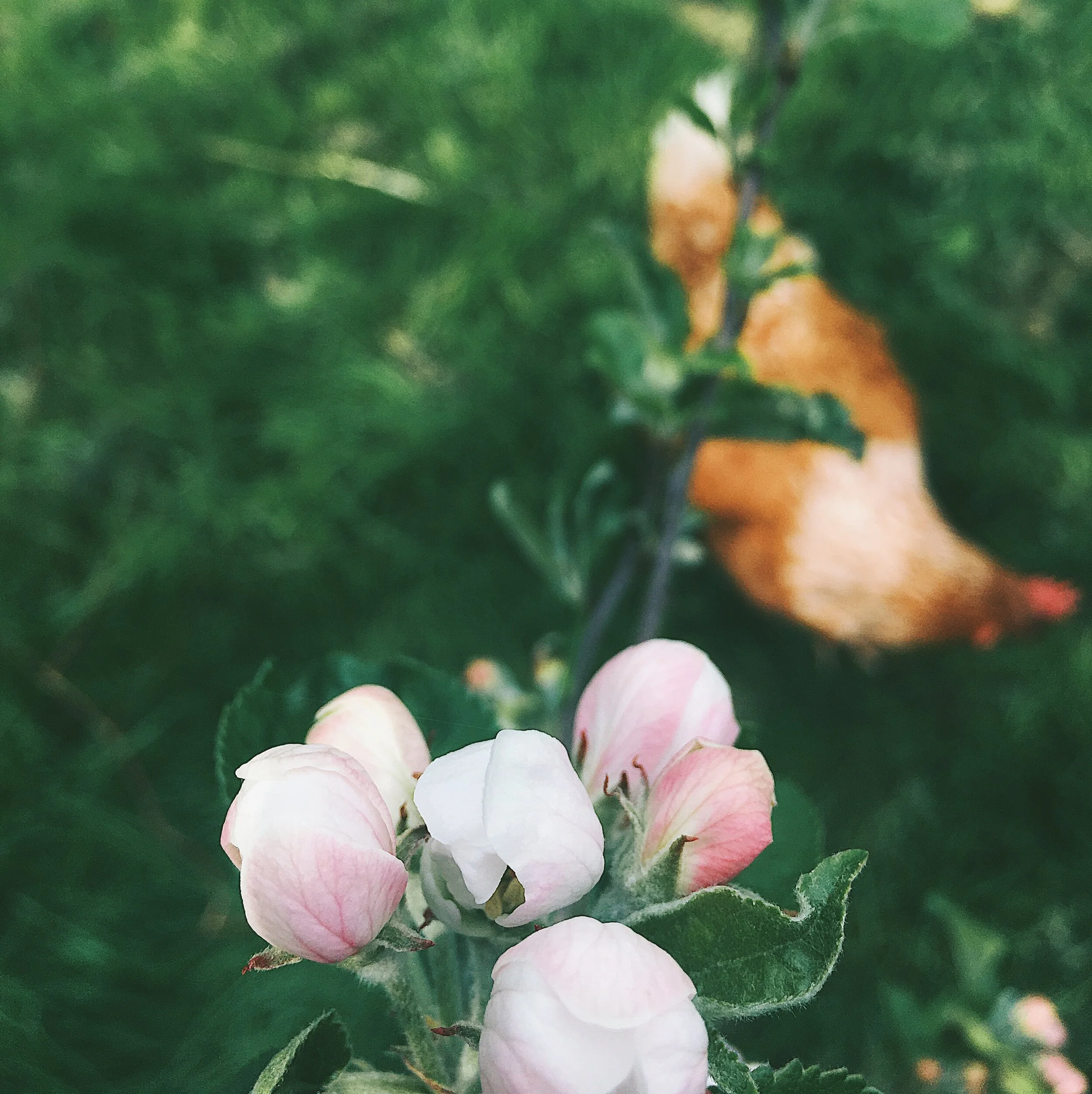 Why I broke up with Instagram