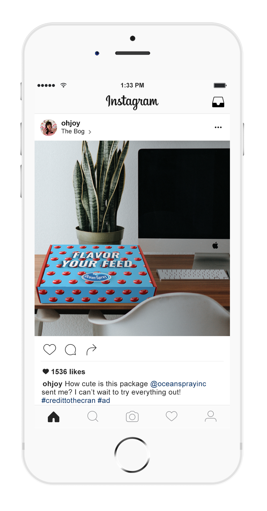 influencerbox_instapost_iPhone_mockup.png
