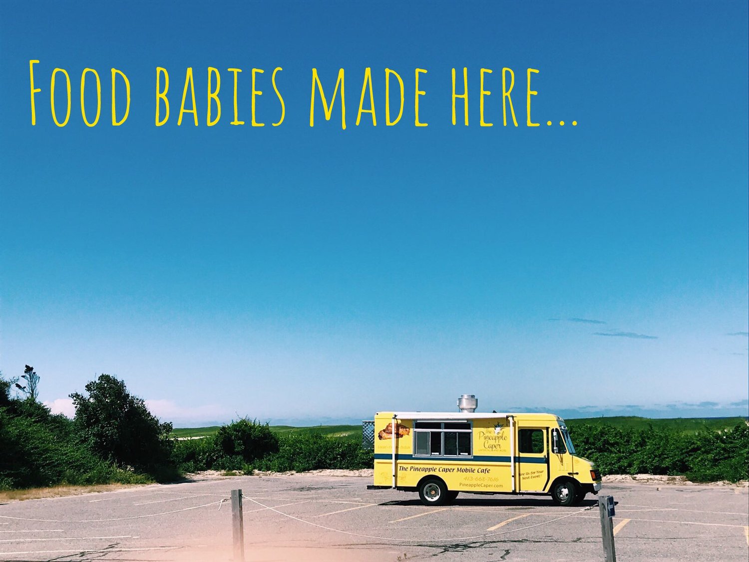 Food Trailer — Pineapple Caper Cafe