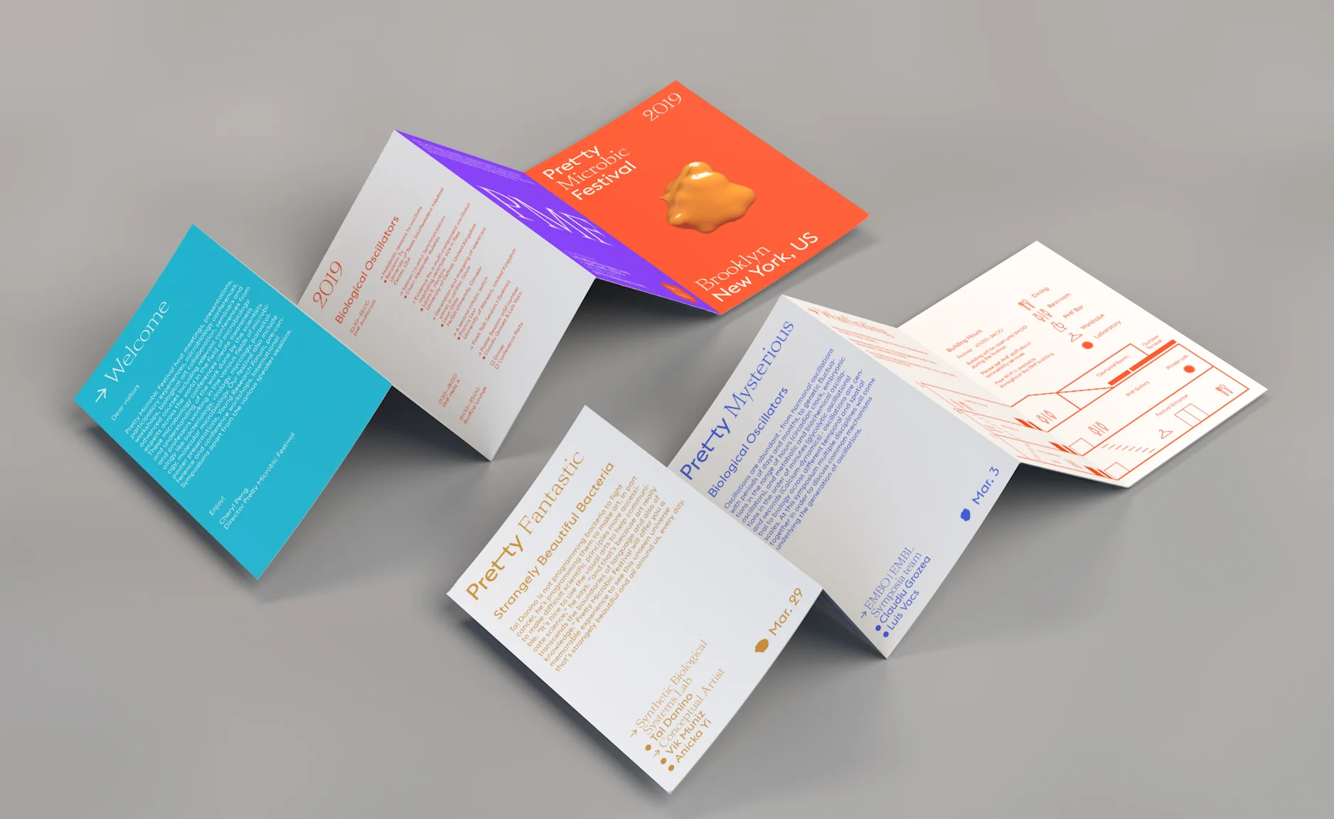 PMF_Brochure.jpg