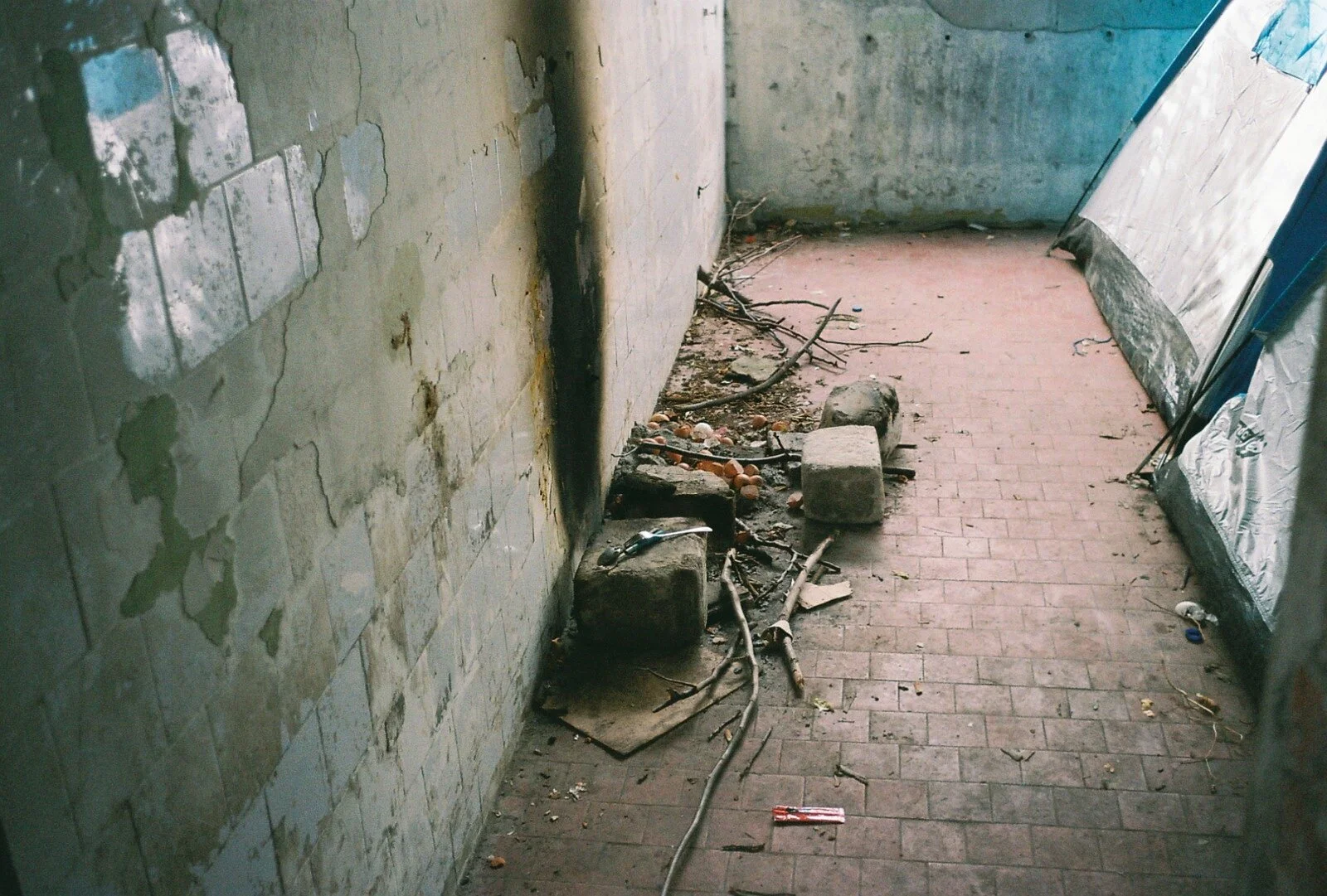 Photo by Enrico Pascatti